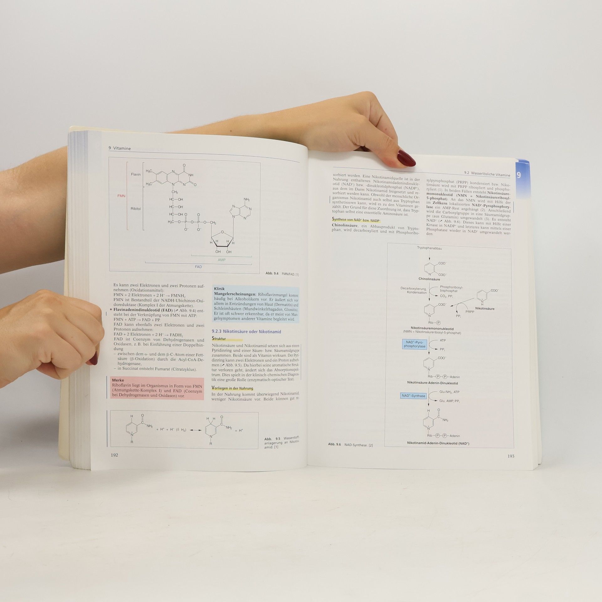 Ulf Dettmer Intensivkurs Biochemie