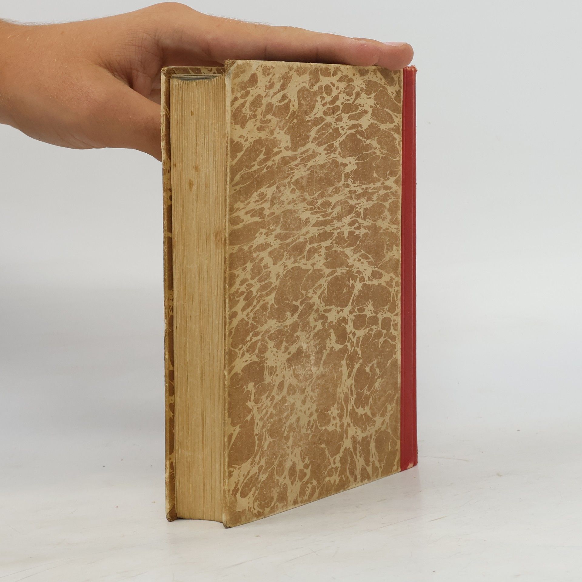 Frank Thiess Die Geschichte eines unruhigen Sommers