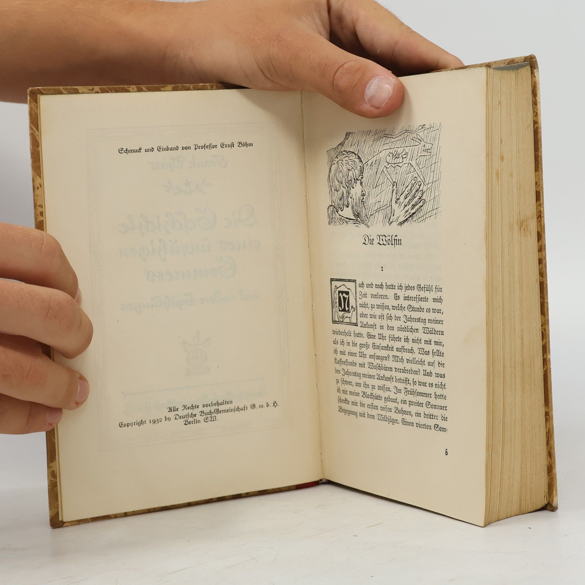 Frank Thiess Die Geschichte eines unruhigen Sommers