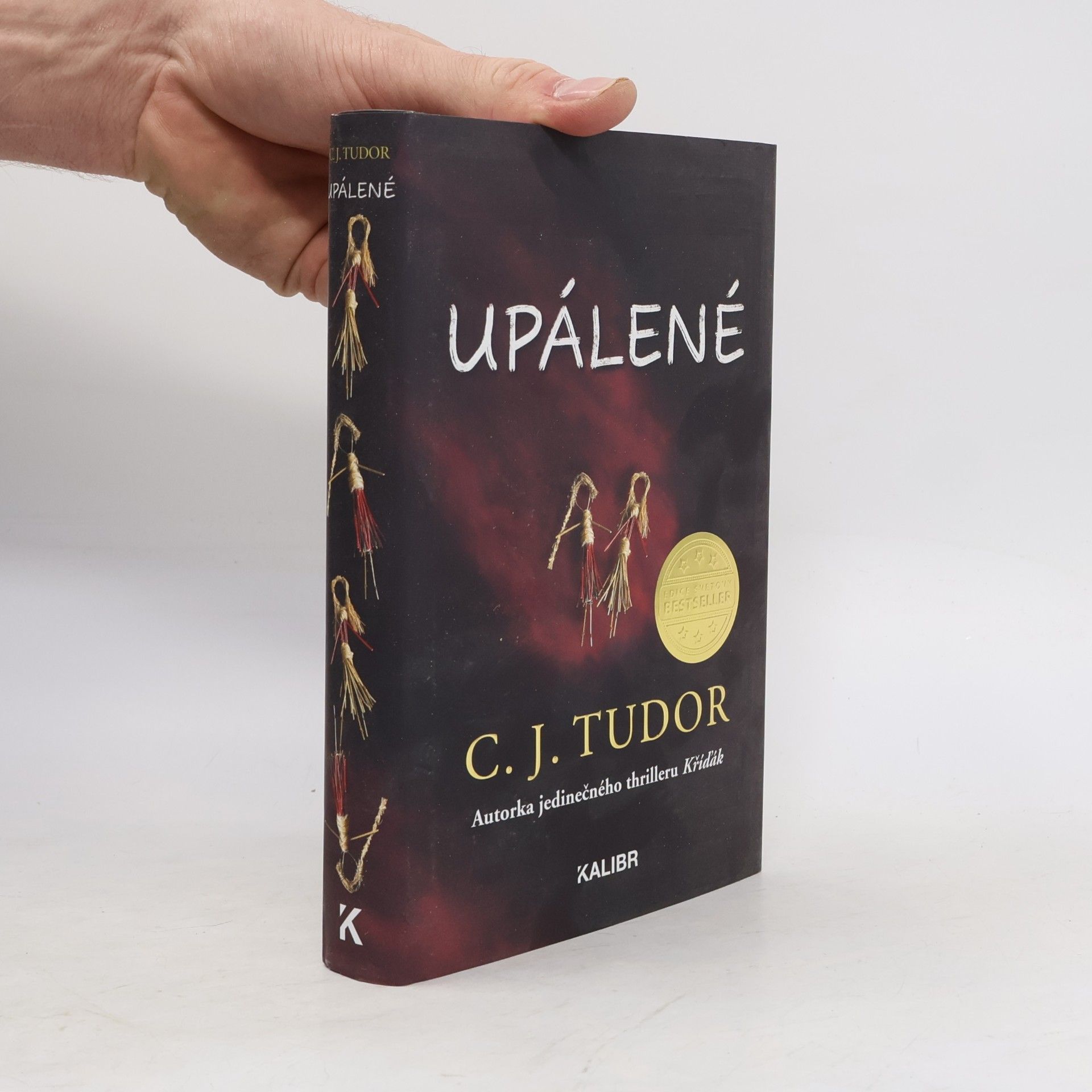 C. J. Tudor Upálené
