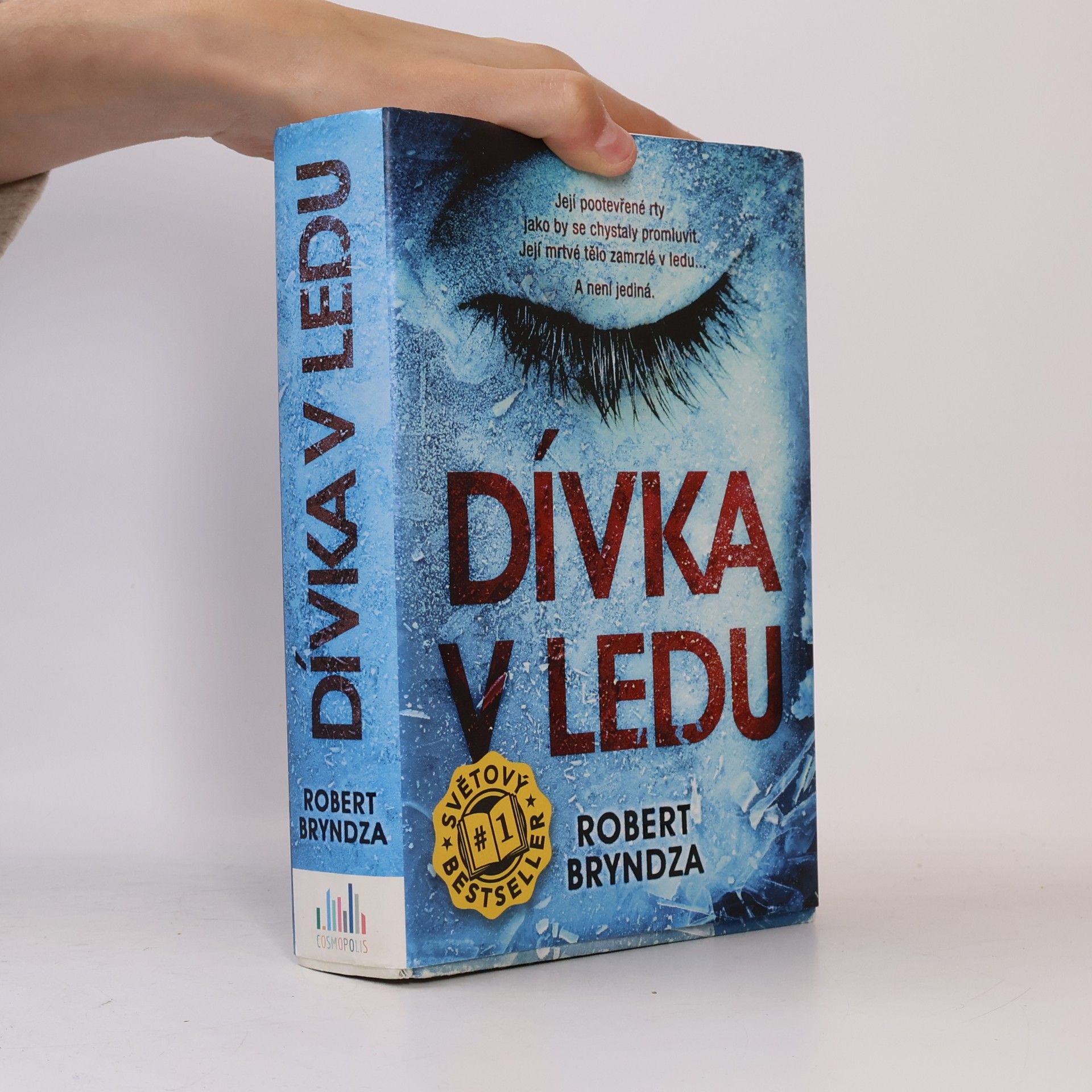 Robert Bryndza Dívka v ledu