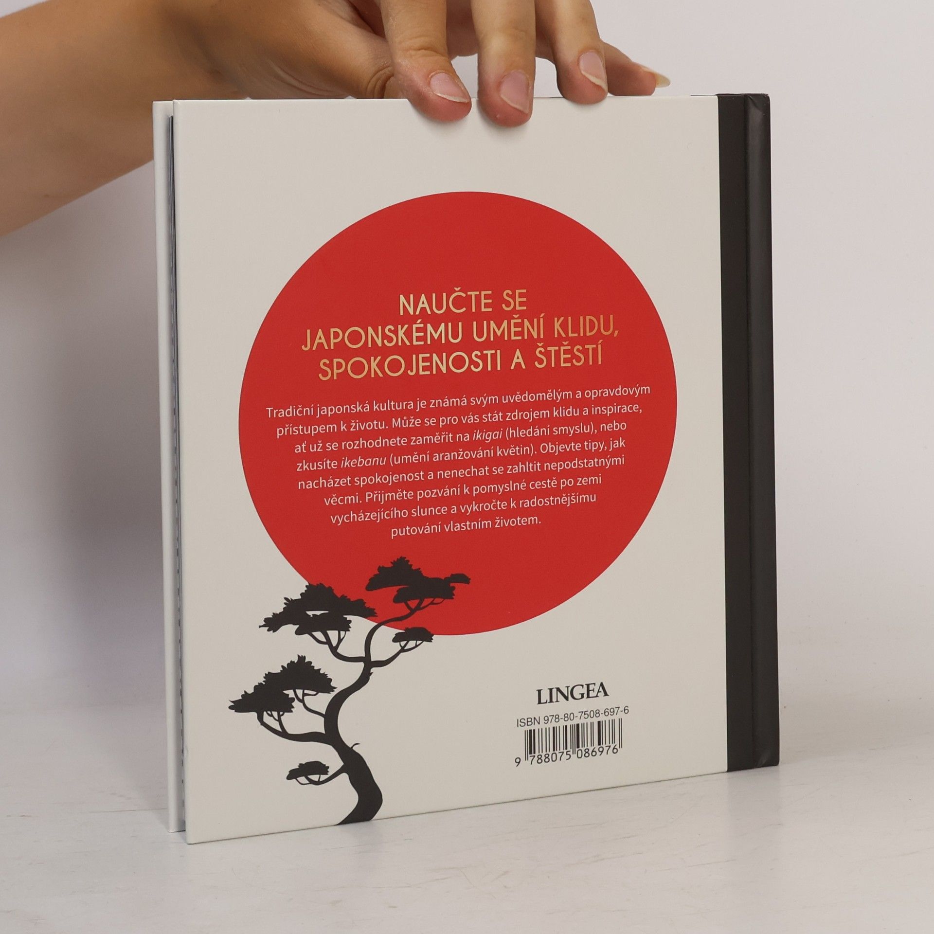 Jo Peters Umění života po japonsku