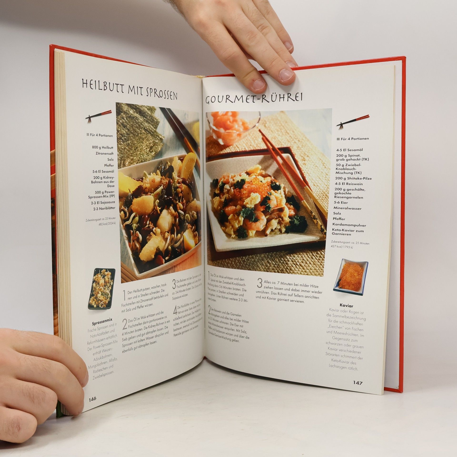 Autorenkollektiv Wok-Rezepte