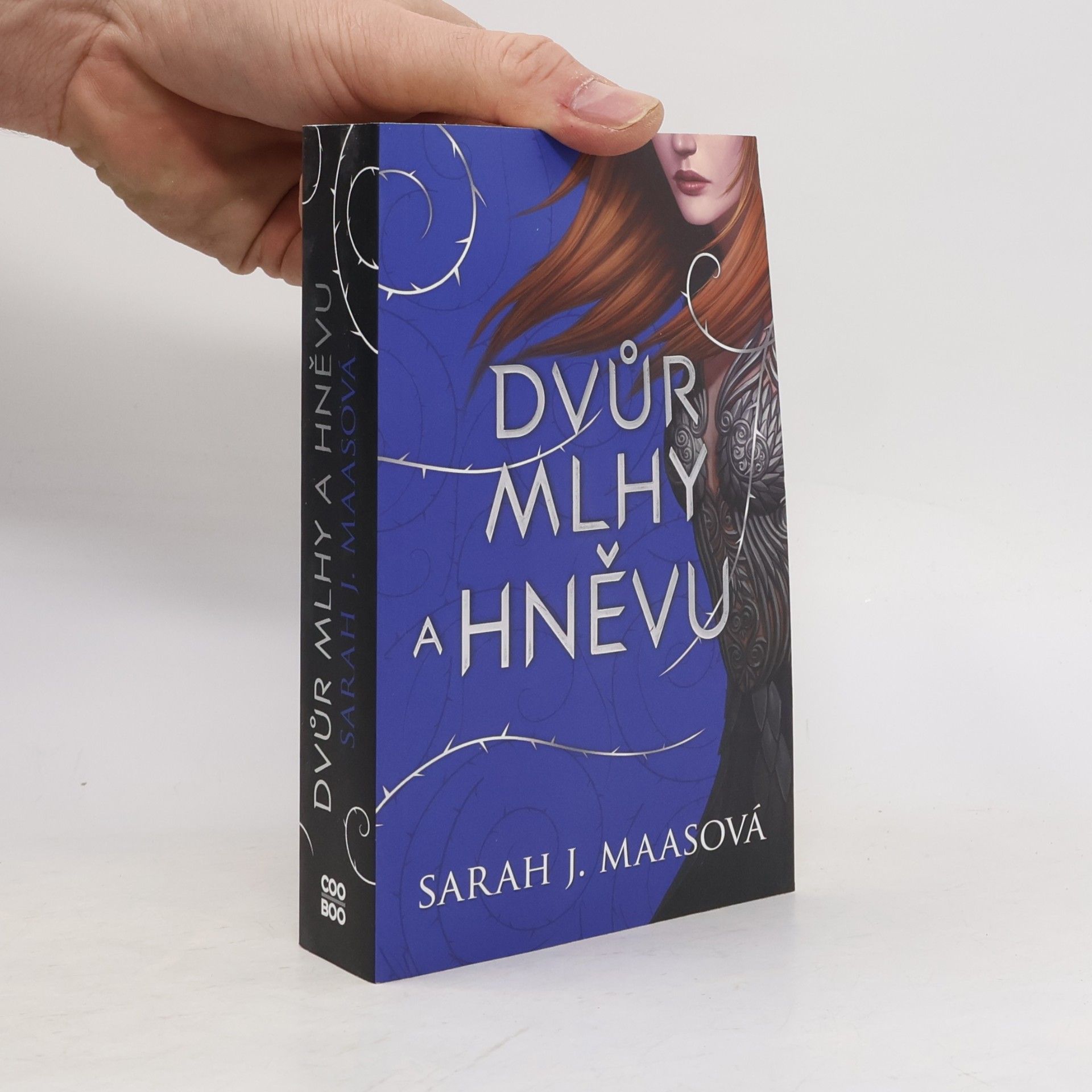 Sarah J. Maas Dvůr mlhy a hněvu