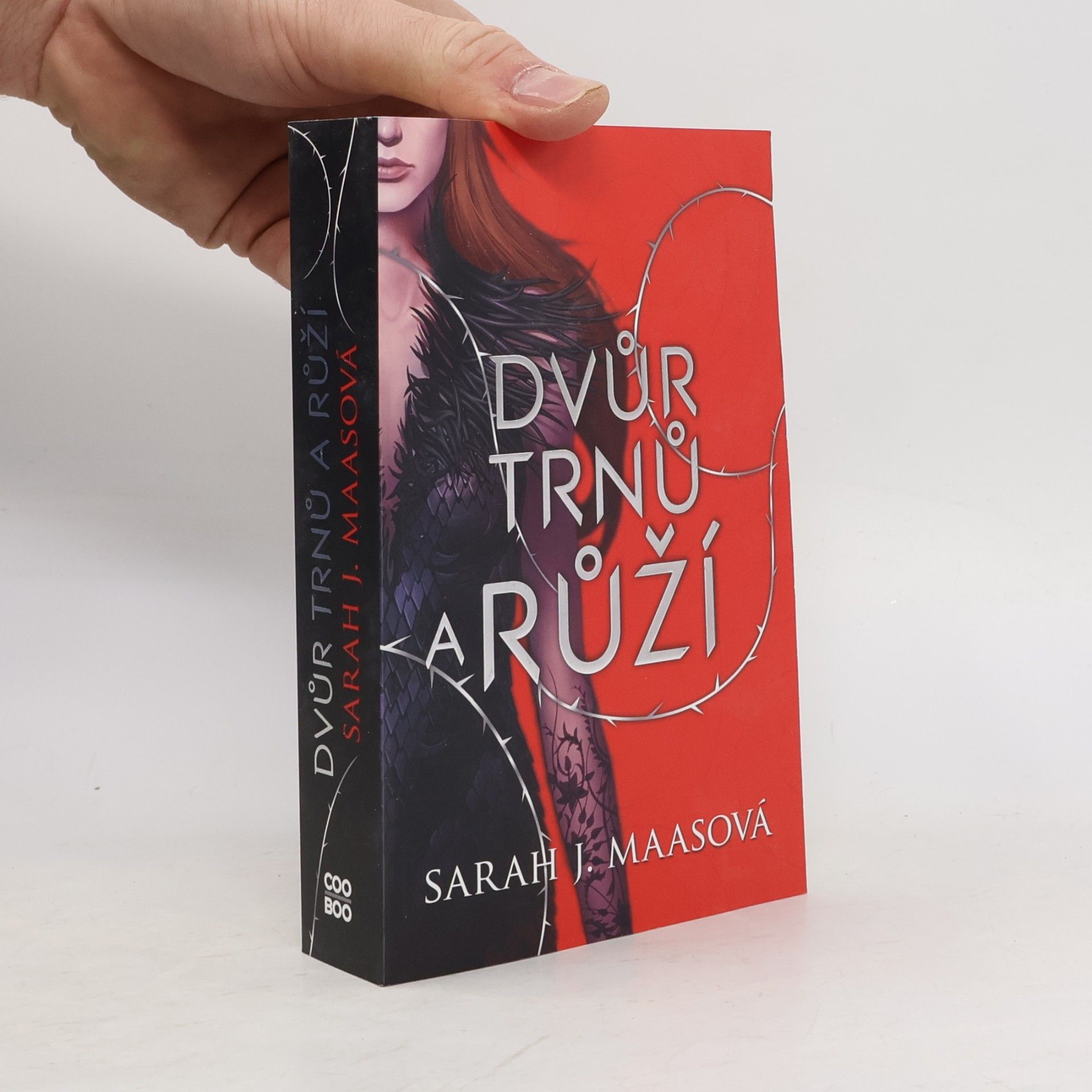 Sarah J. Maas Dvůr trnů a růží