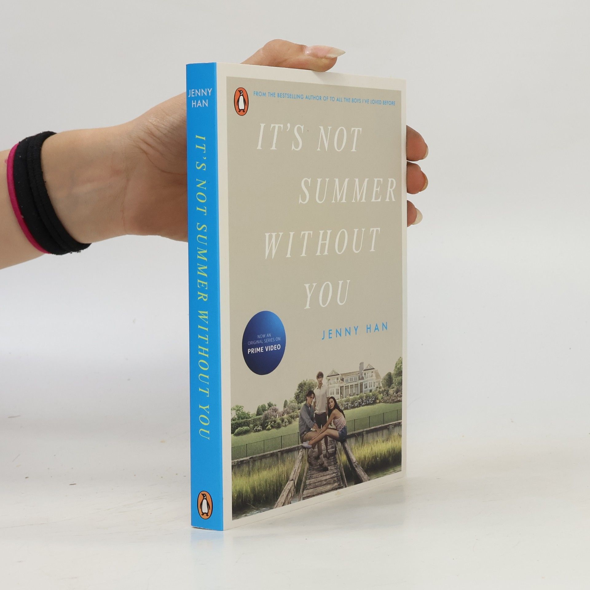 Jenny Han It's Not Summer Without You