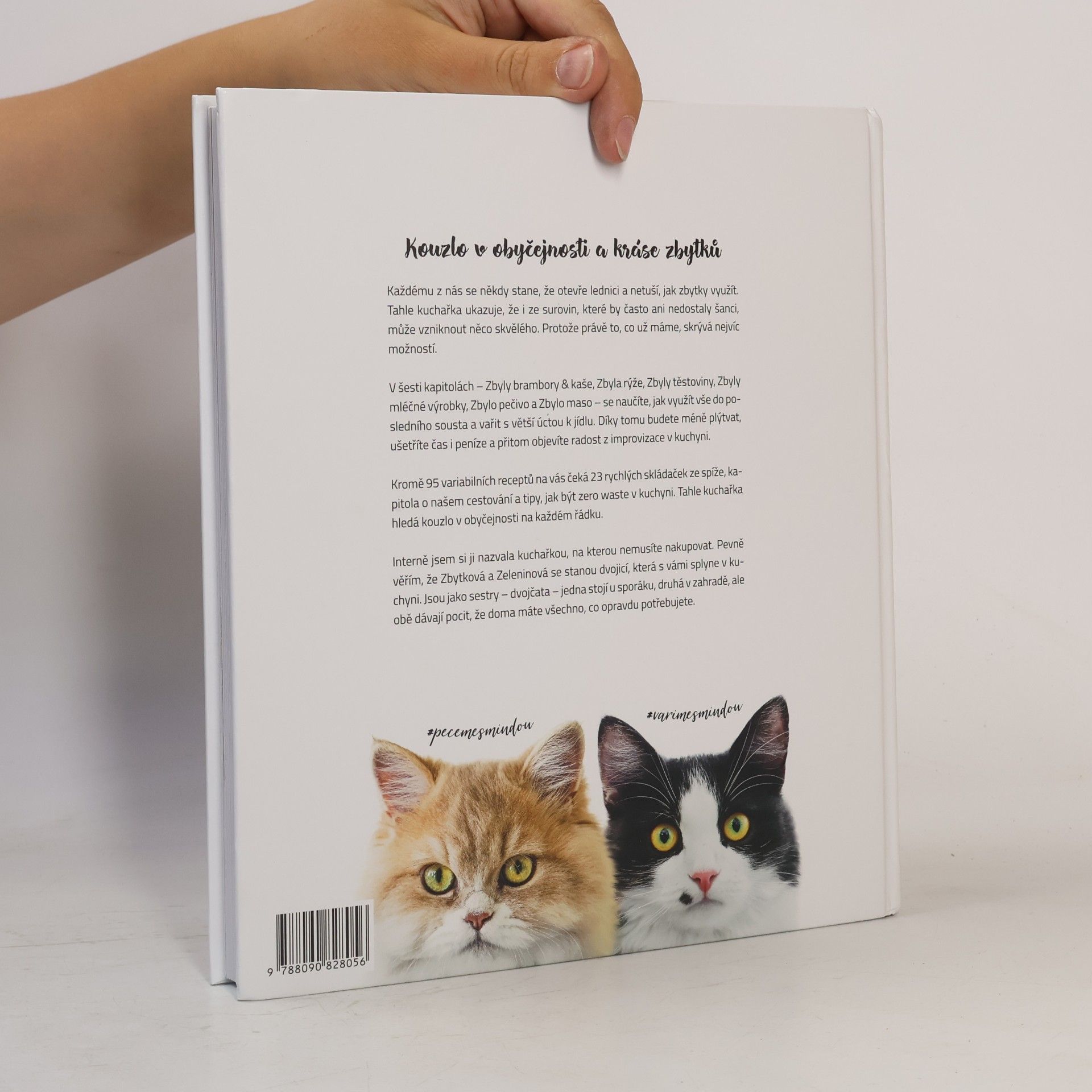 Ivana Stříbrský Jindřichová Cat & cook : zbytková