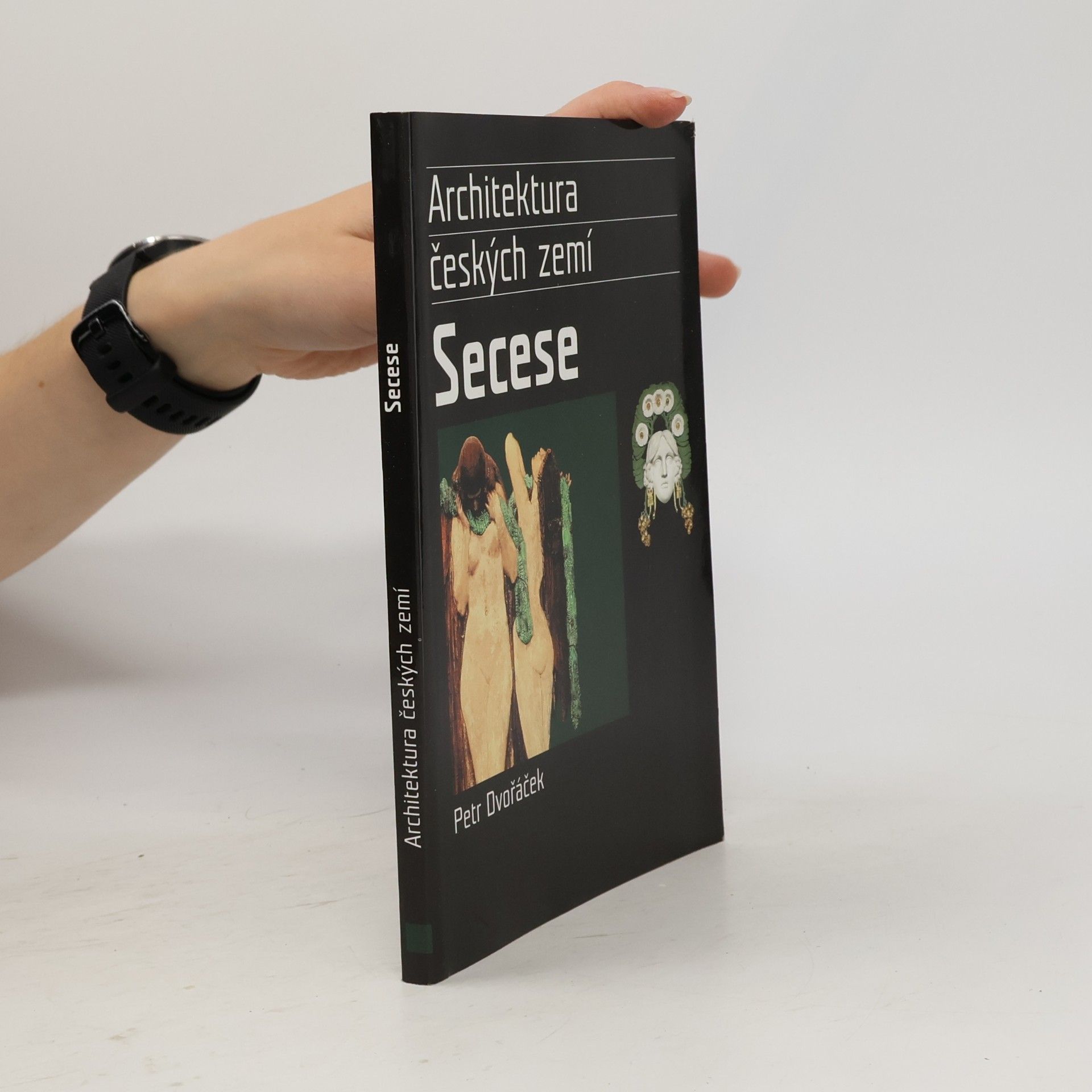 Petr Dvořáček Architektura českých zemí. Secese