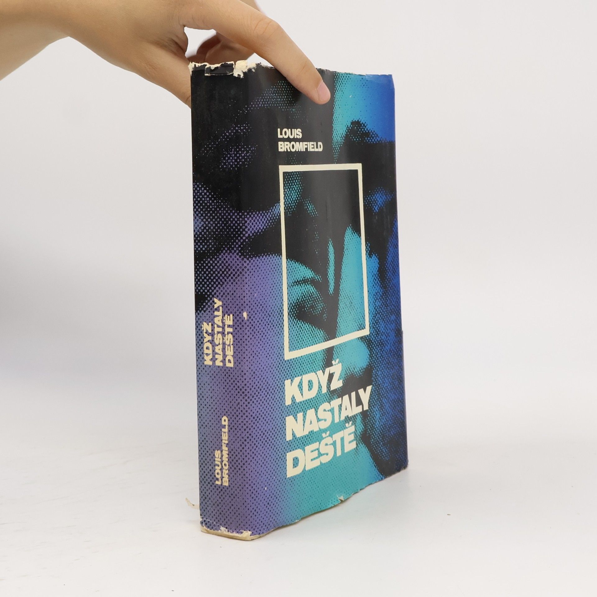 Louis Bromfield Když nastaly deště
