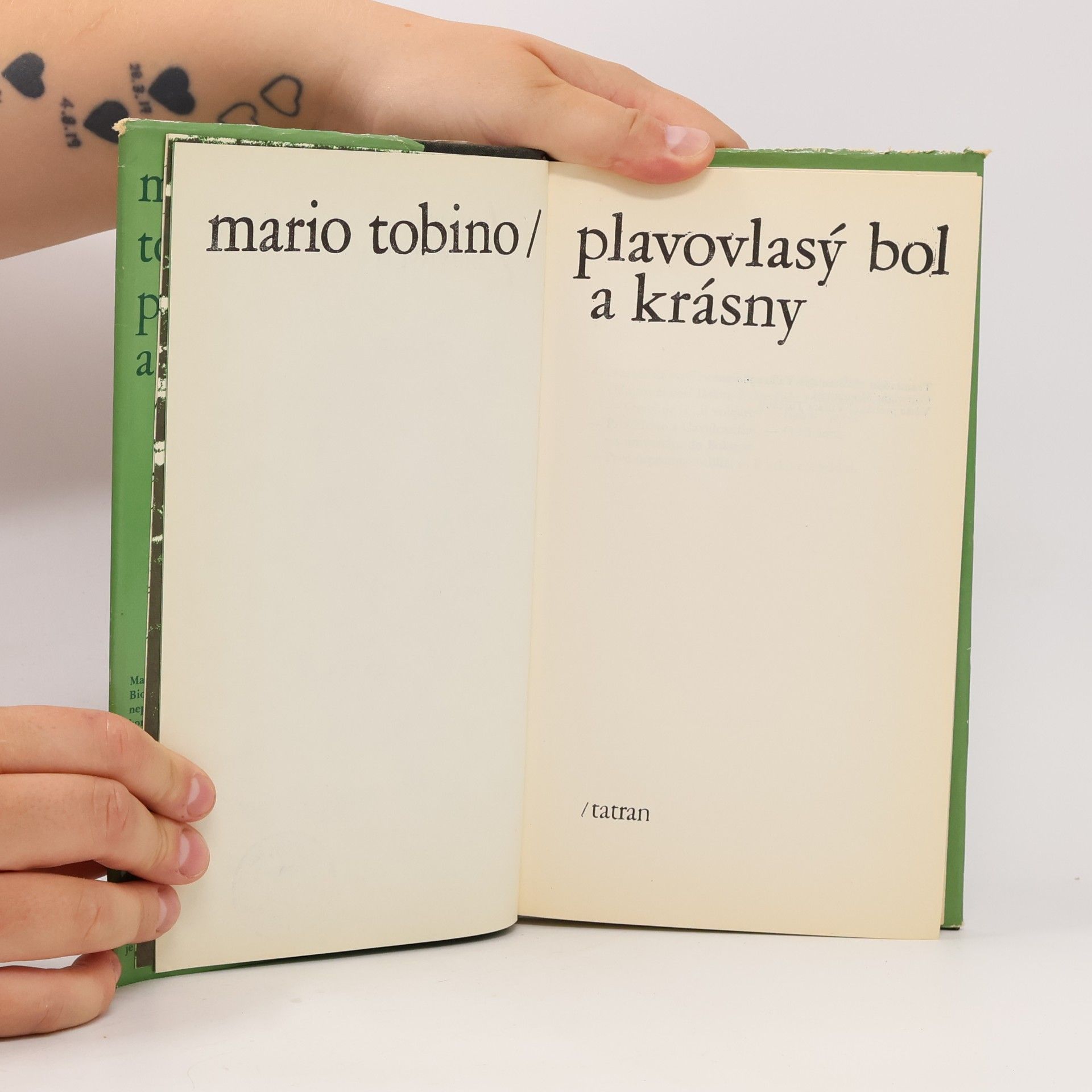 Mario Tobino Plavovlasý bol a krásny