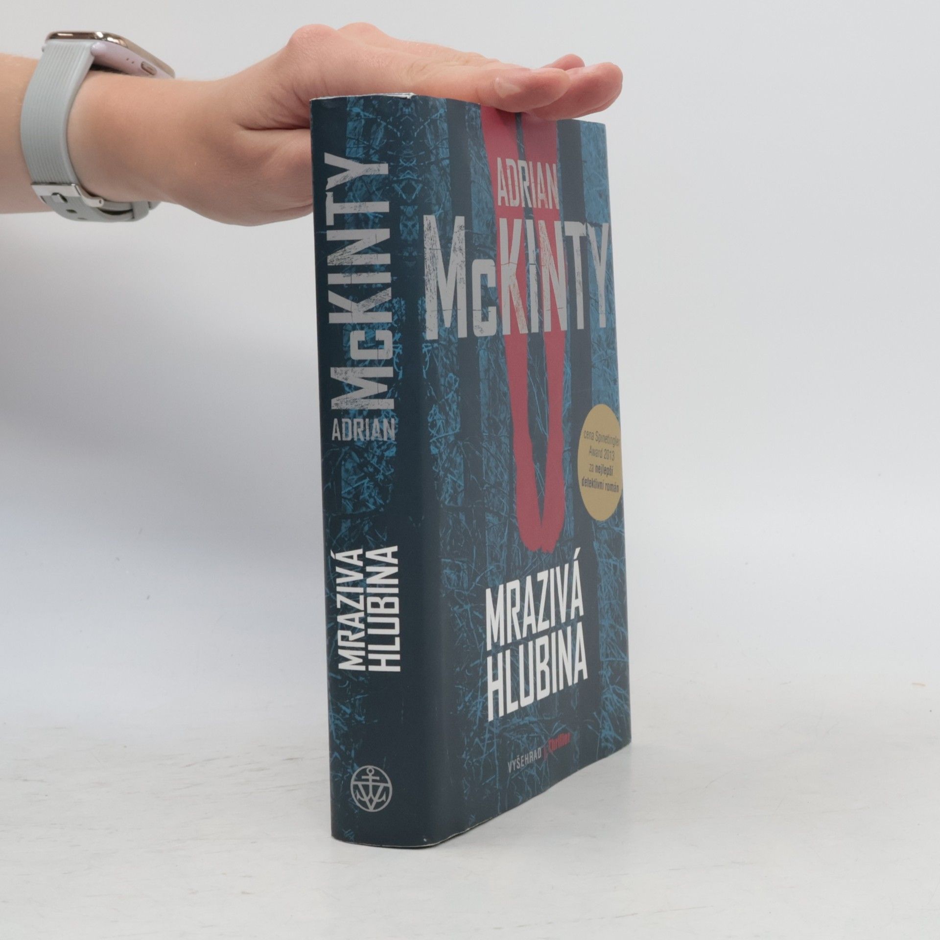 Adrian McKinty Mrazivá hlubina