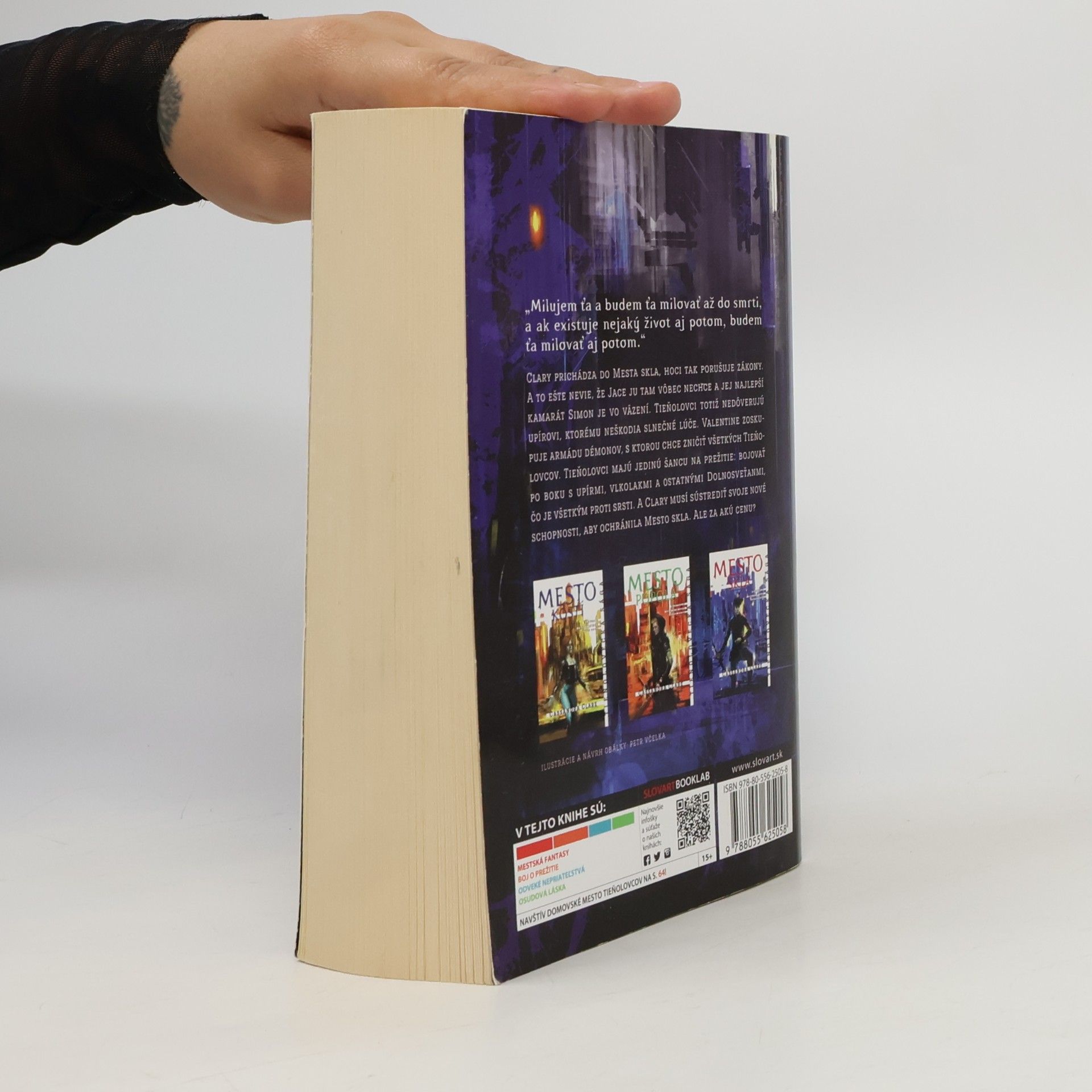 Cassandra Clare Mesto skla