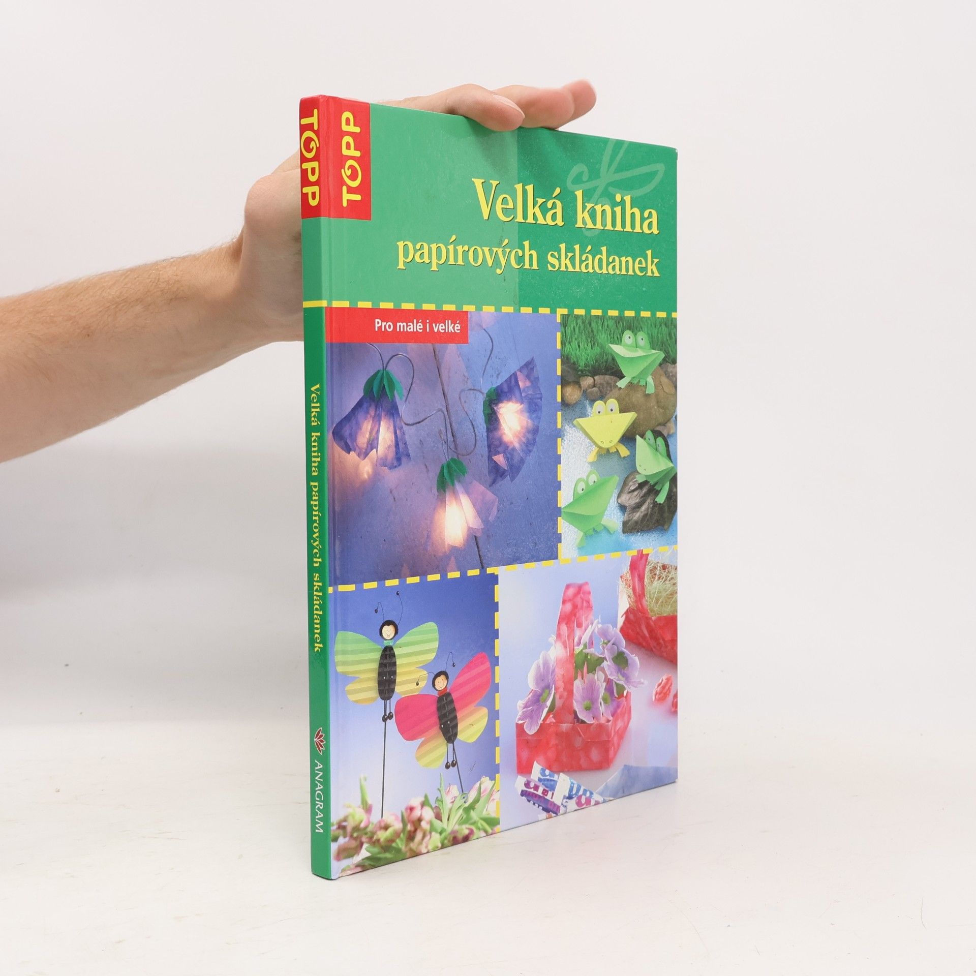 Armin Täubner Velká kniha papírových skládanek. Pro malé i velké