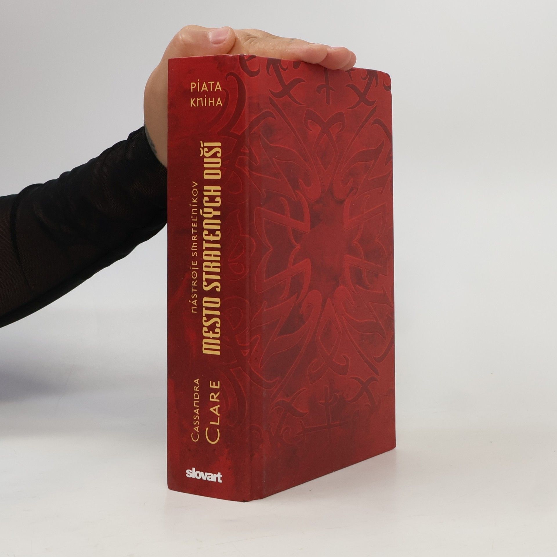 Cassandra Clare Mesto stratených duší