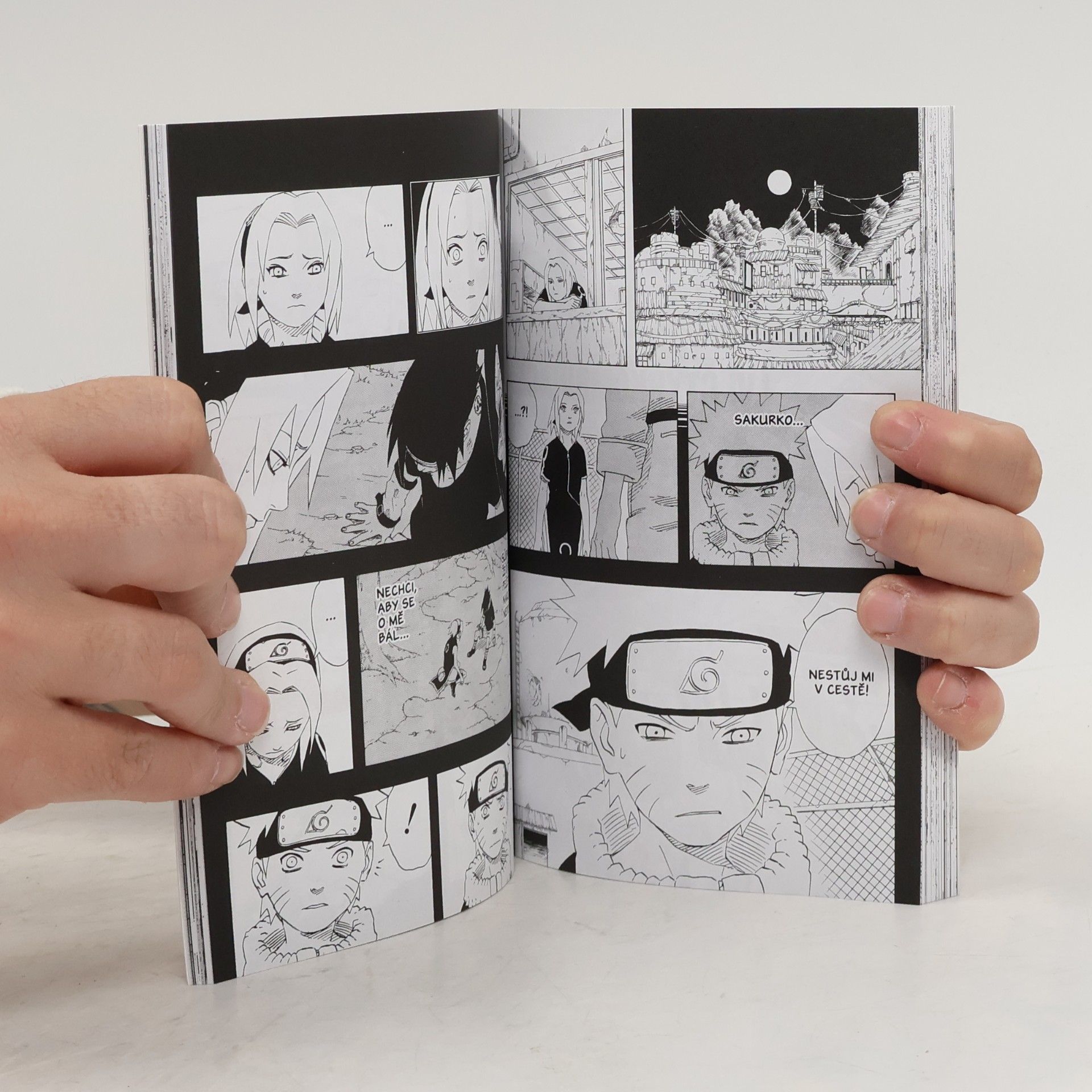 Masashi Kishimoto Naruto. 20. díl, Naruto versus Sasuke