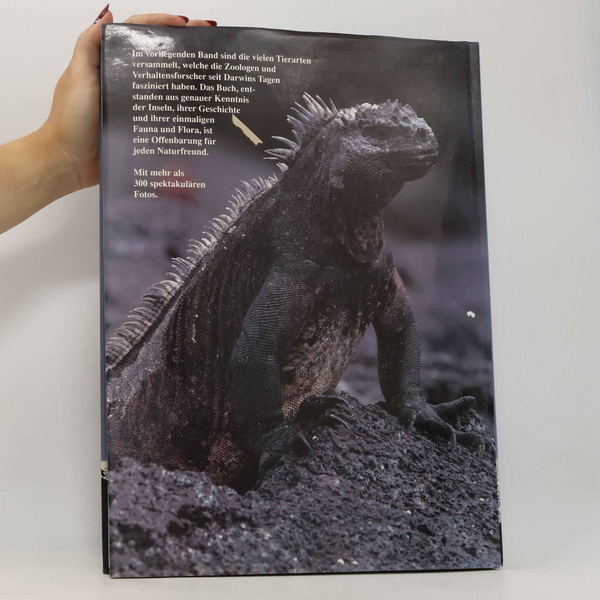 Peter Salwen Galapagos. Das verlorene Paradies