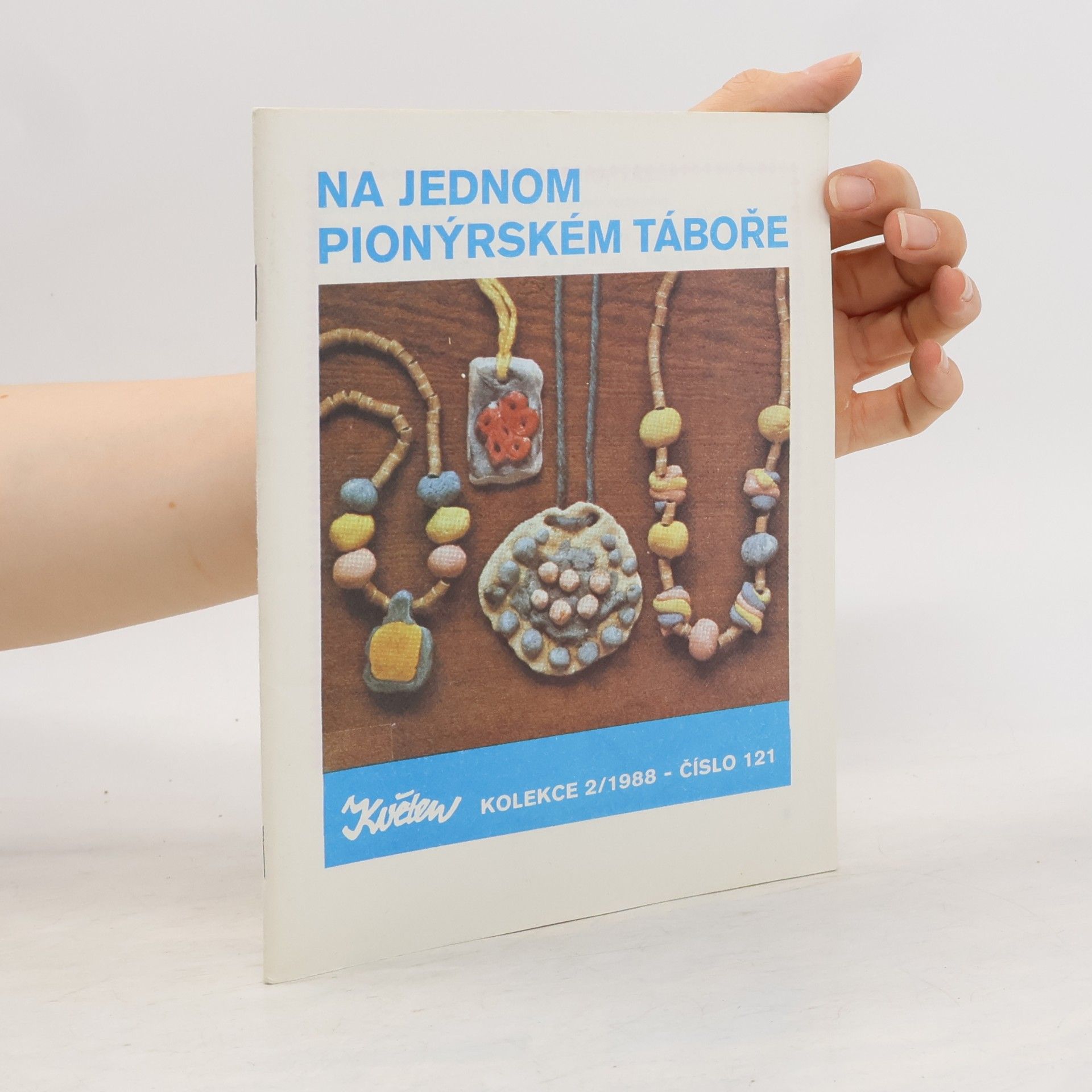 Na jednom pionýrském táboře