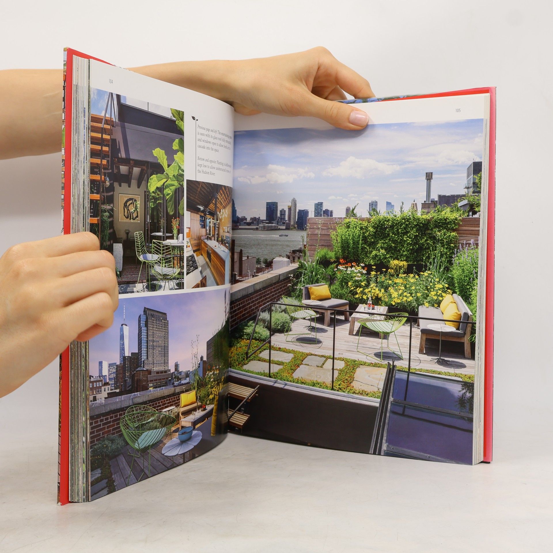 Ashley Penn Living Roofs