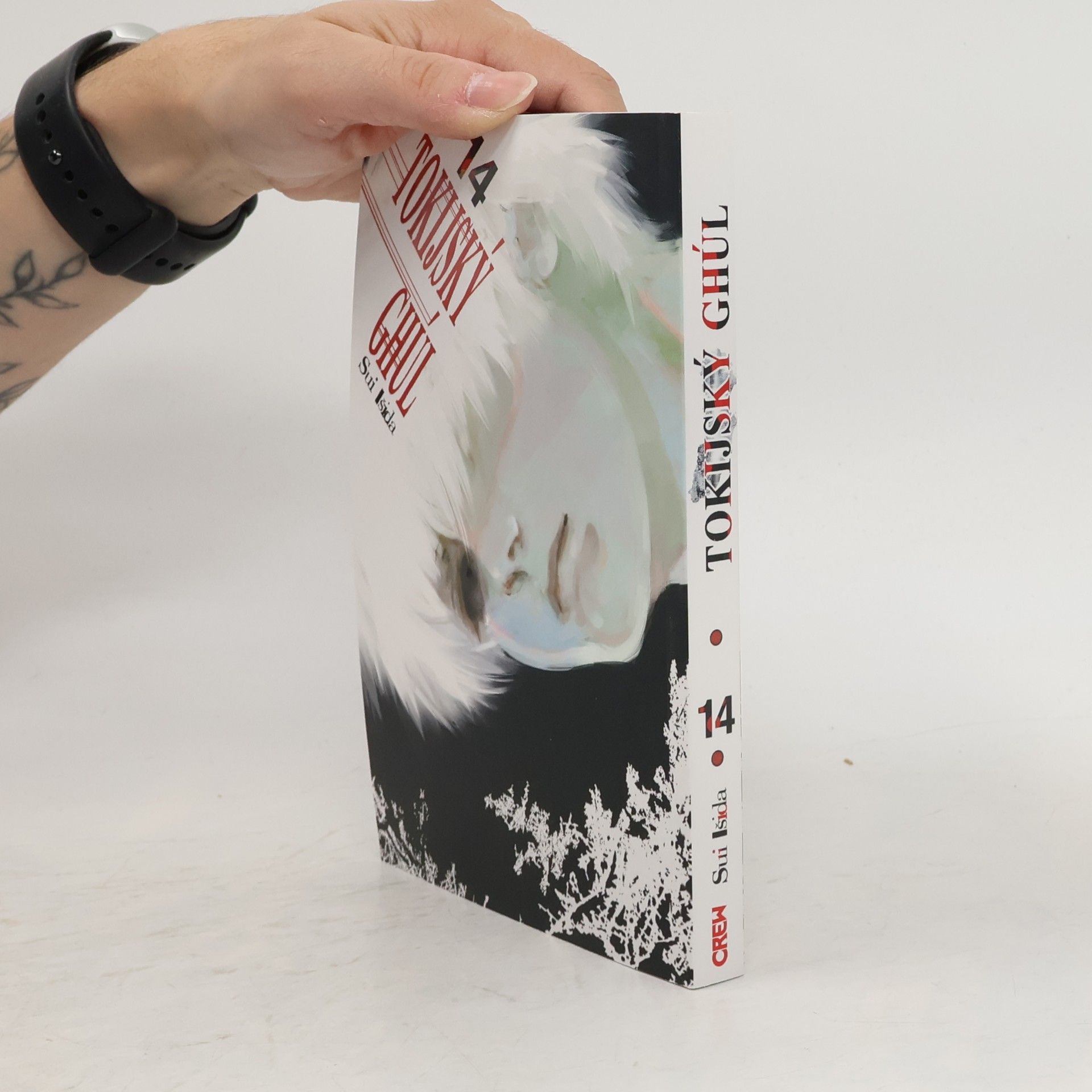 Sui Ishida Tokijský ghúl 14