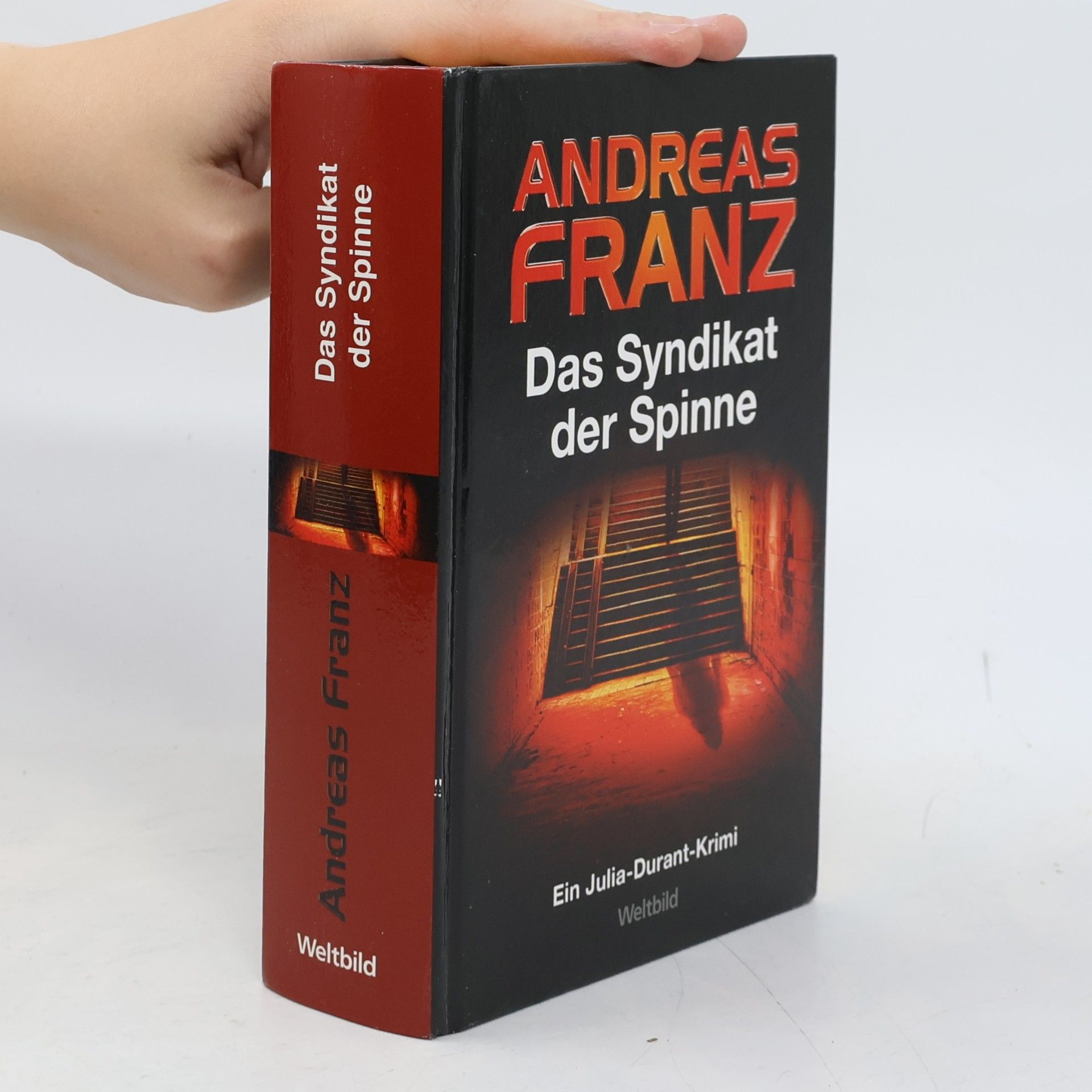 Andreas Franz Das Syndikat der Spinne