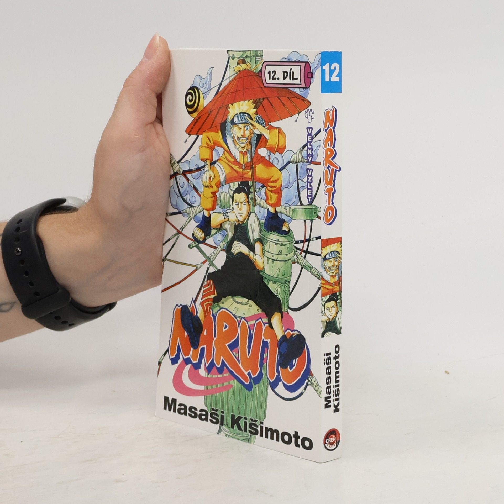 Masashi Kishimoto Naruto. 12. díl, Velký vzlet