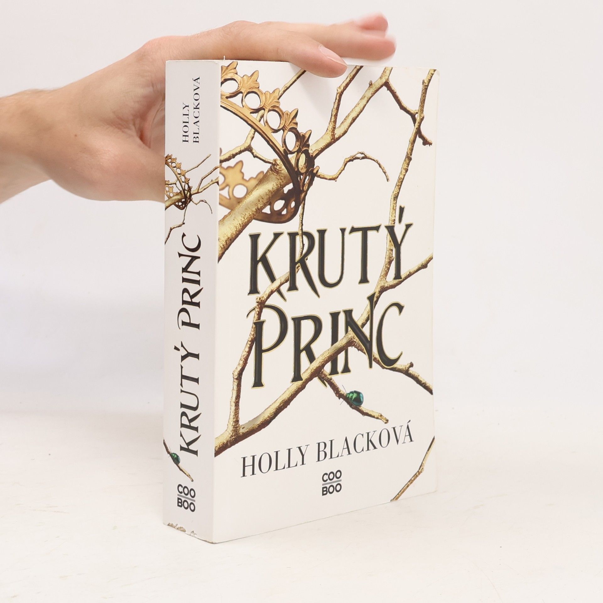 Holly Black Krutý princ