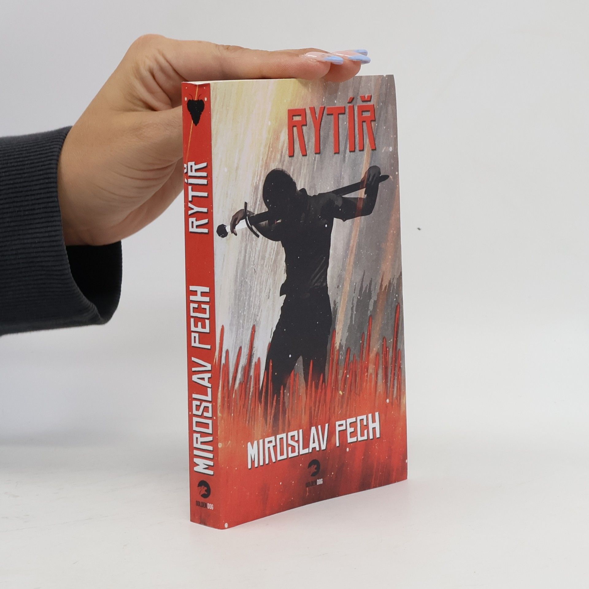 Rytíř