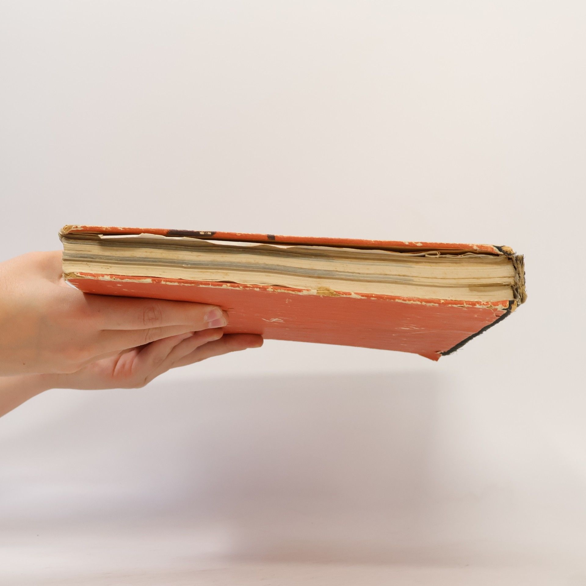 Heiss Friedrich Das Böhmen und Mähren-Buch. Volkskampf und Reichsraum.