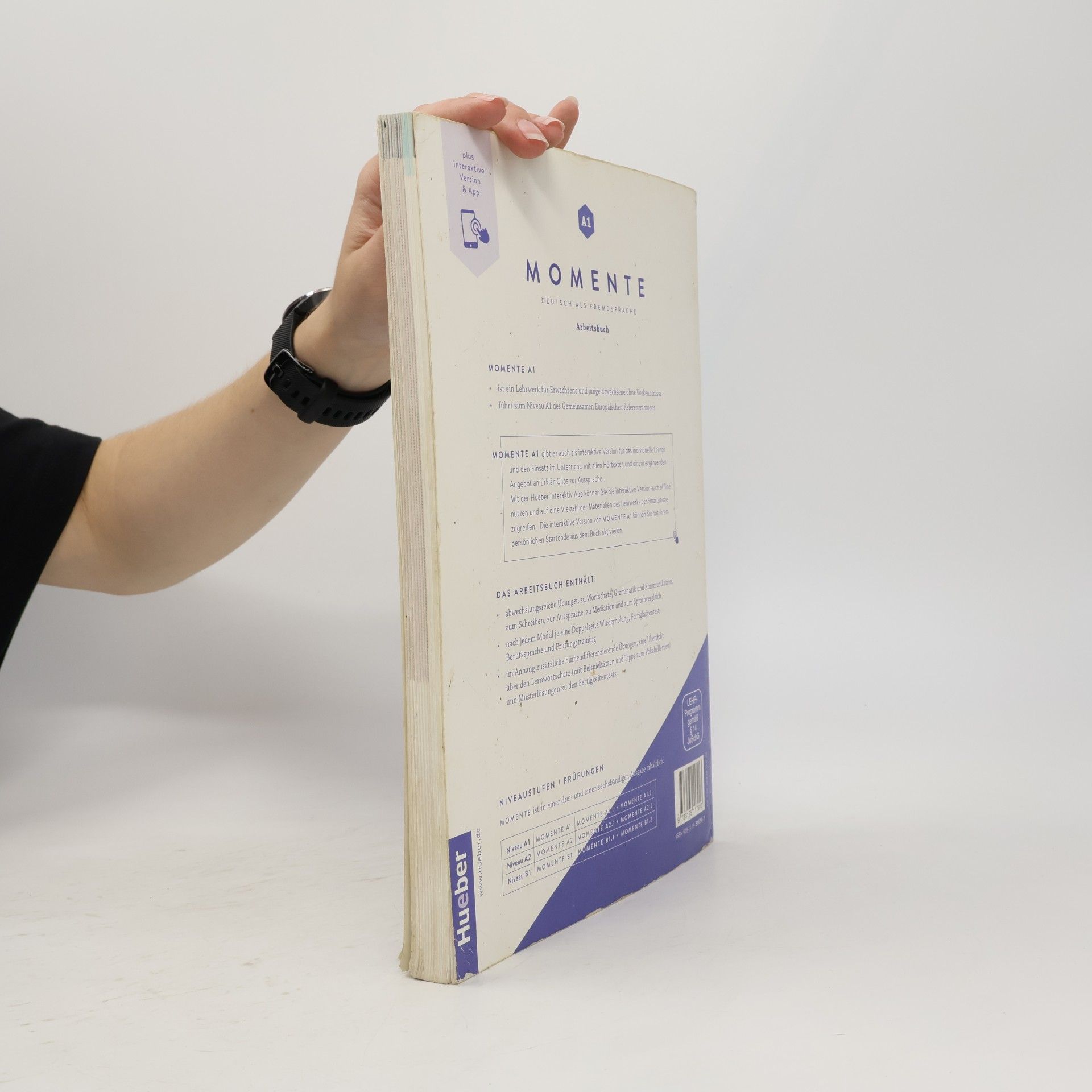 Angela Pude Momente : Deutsch als Fremdsprache. Arbeitsbuch plus interaktive Version