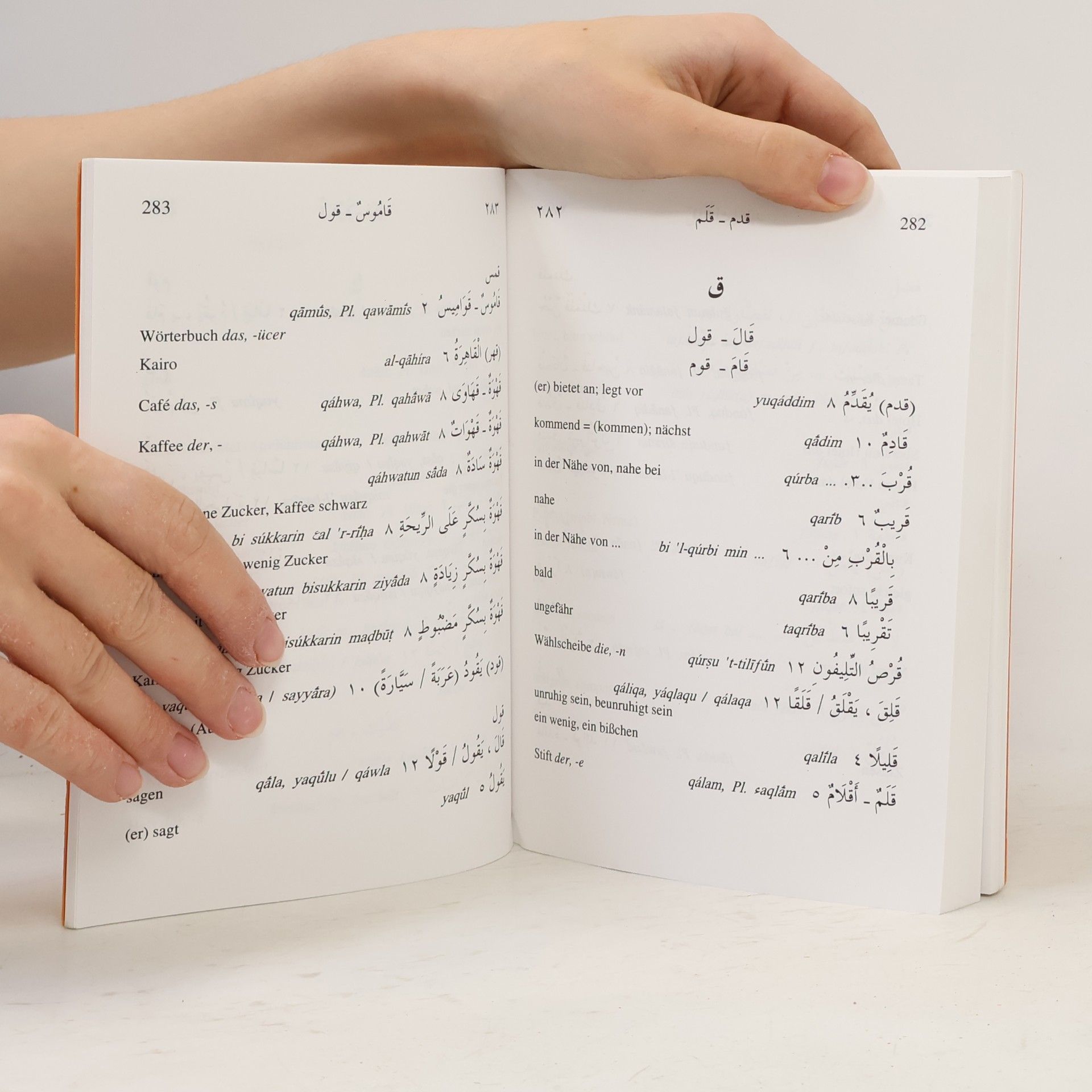 Tawfik Borg Modernes Hocharabisch. Lehrbuch für Ausländer