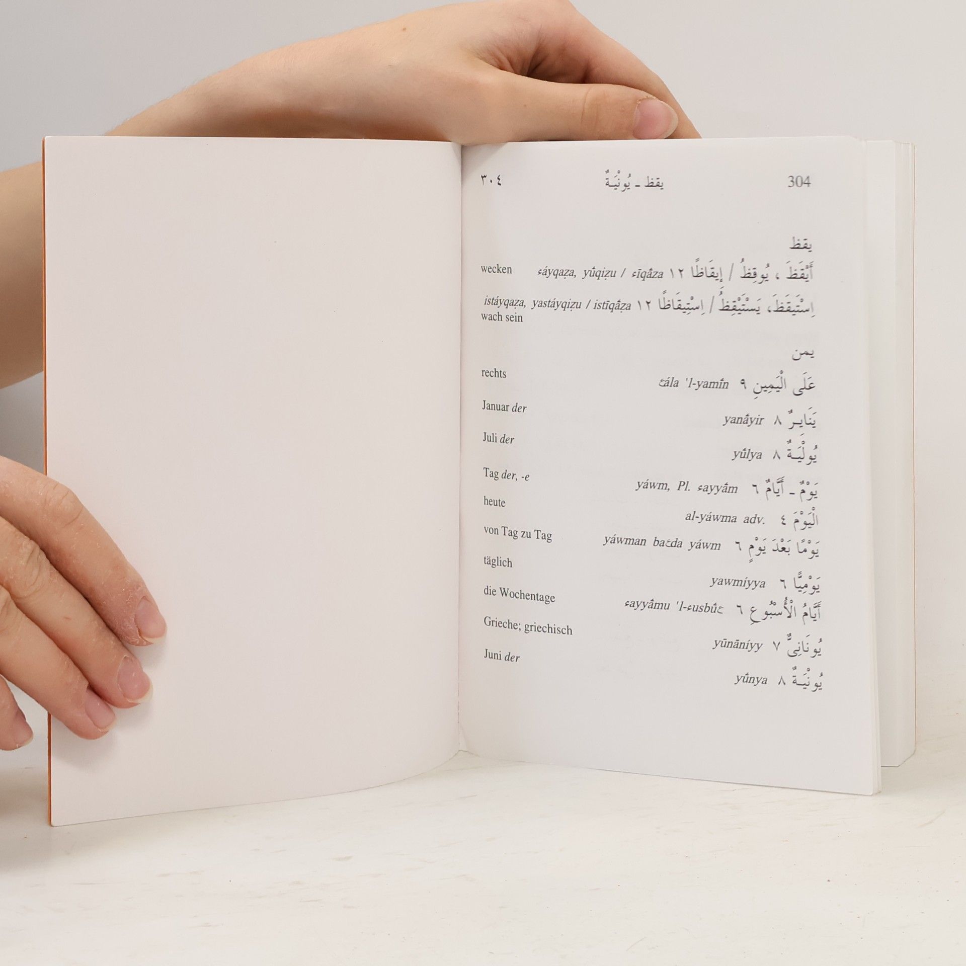 Tawfik Borg Modernes Hocharabisch. Lehrbuch für Ausländer