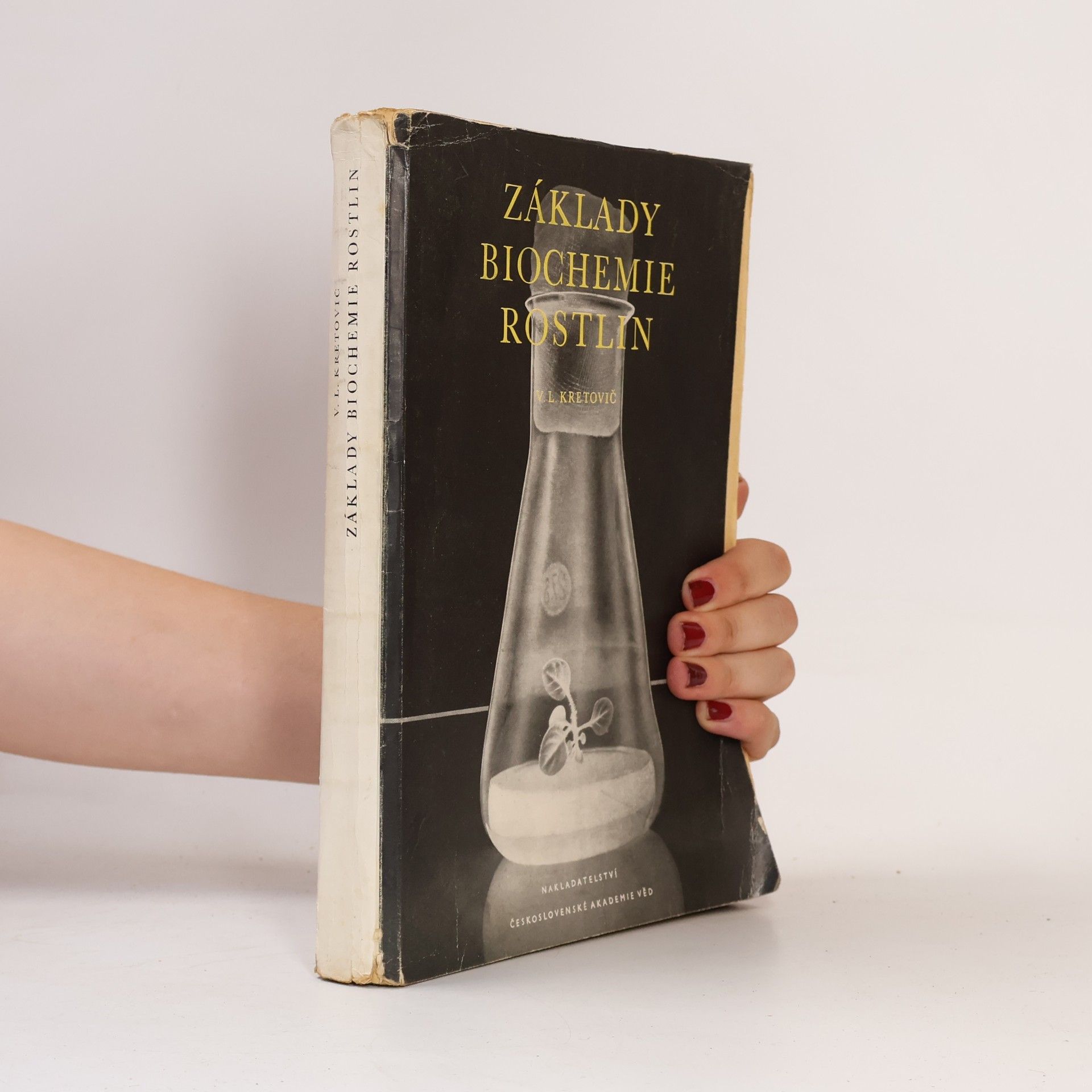 Autores varios Základy biochemie rostlin