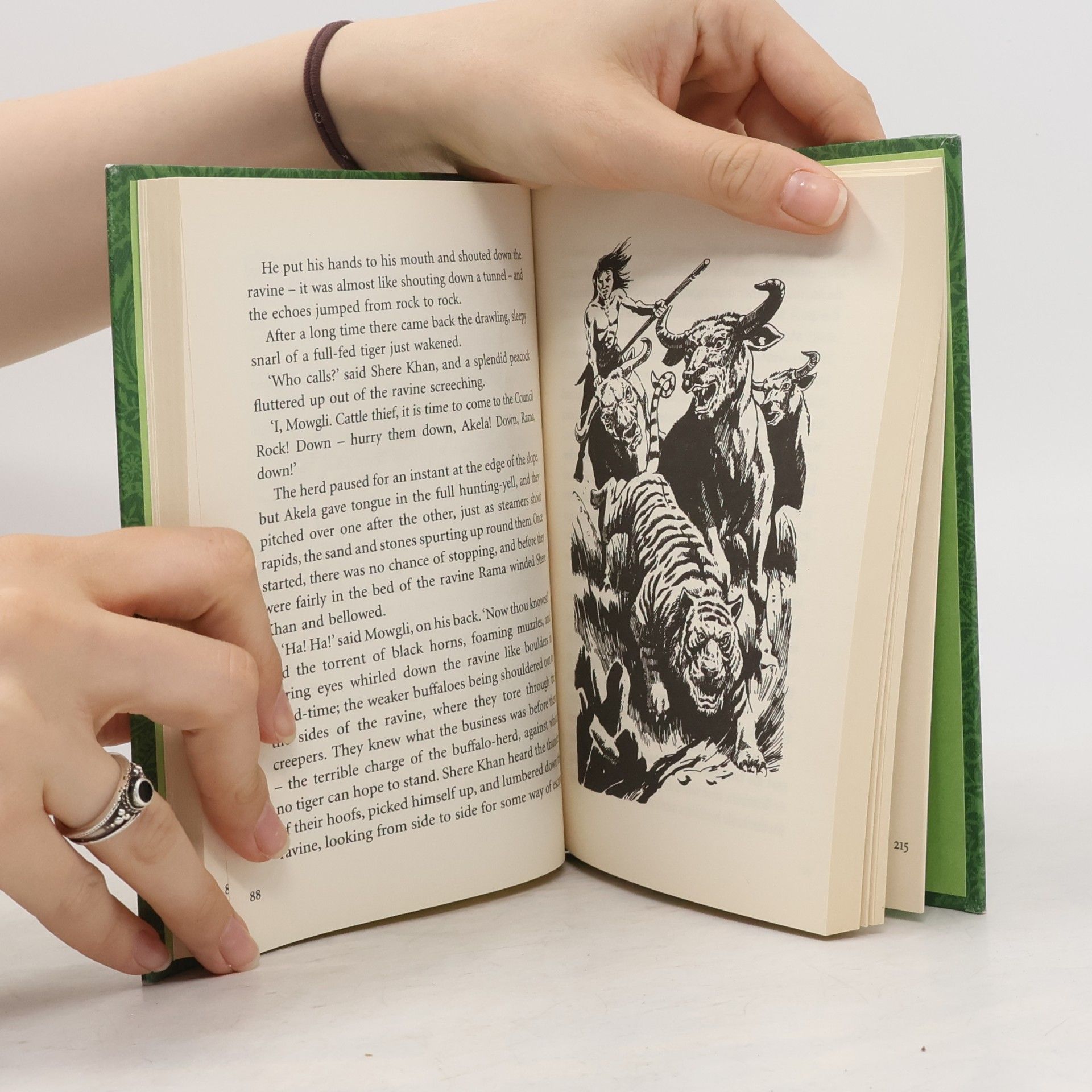 Rudyard Kipling The Jungle Book