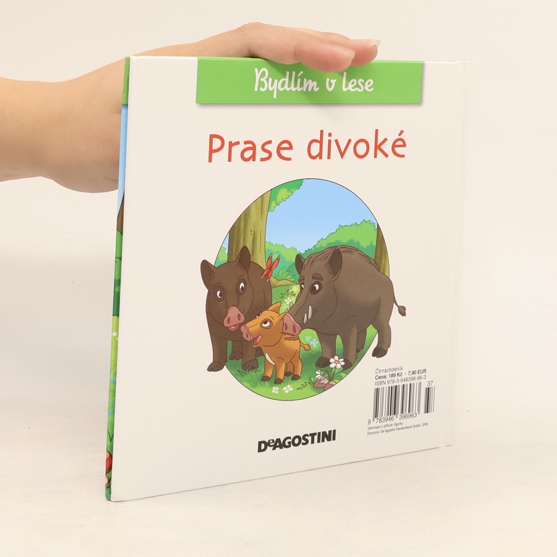 Autores varios Bydlím v lese 28. Prase divoké