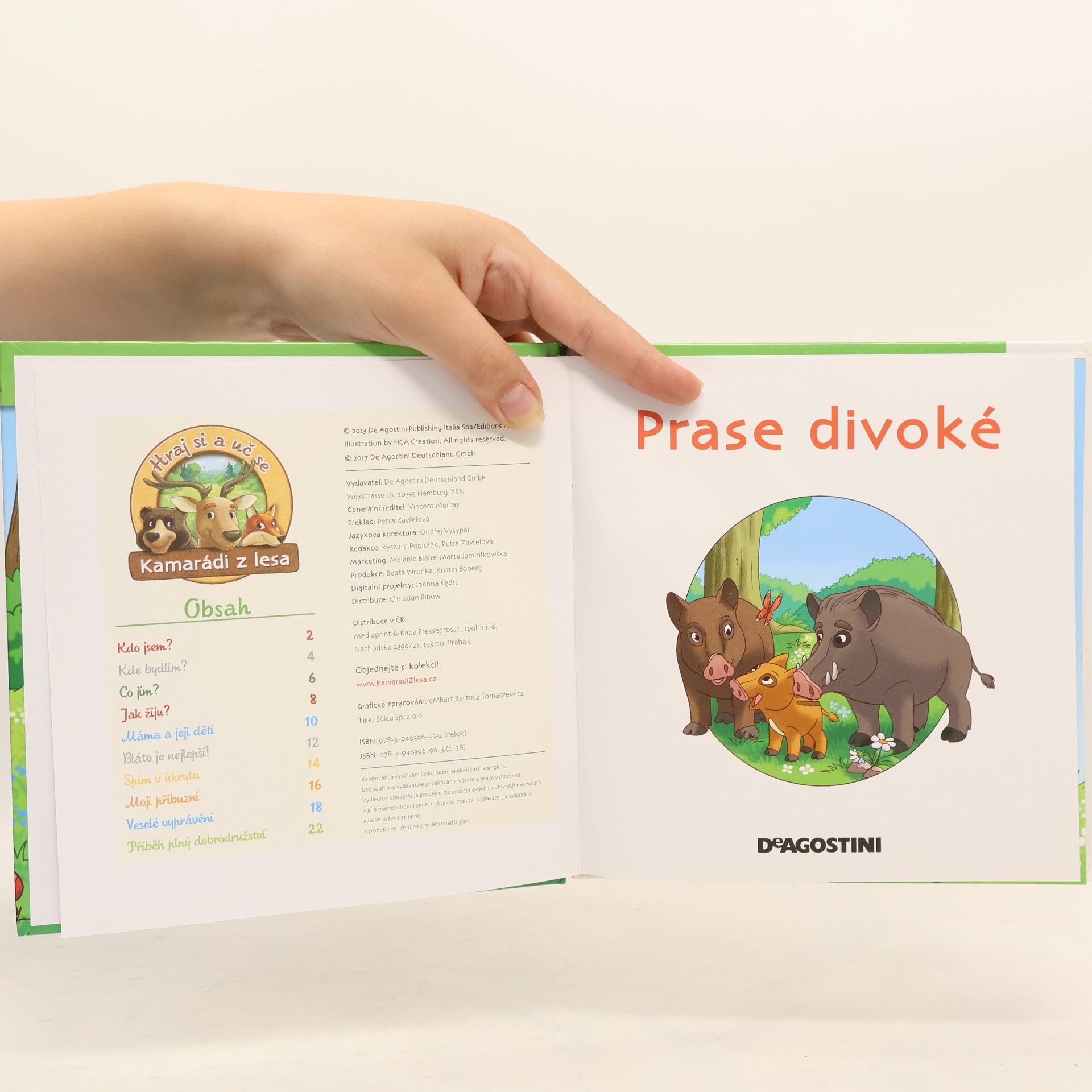 Autores varios Bydlím v lese 28. Prase divoké