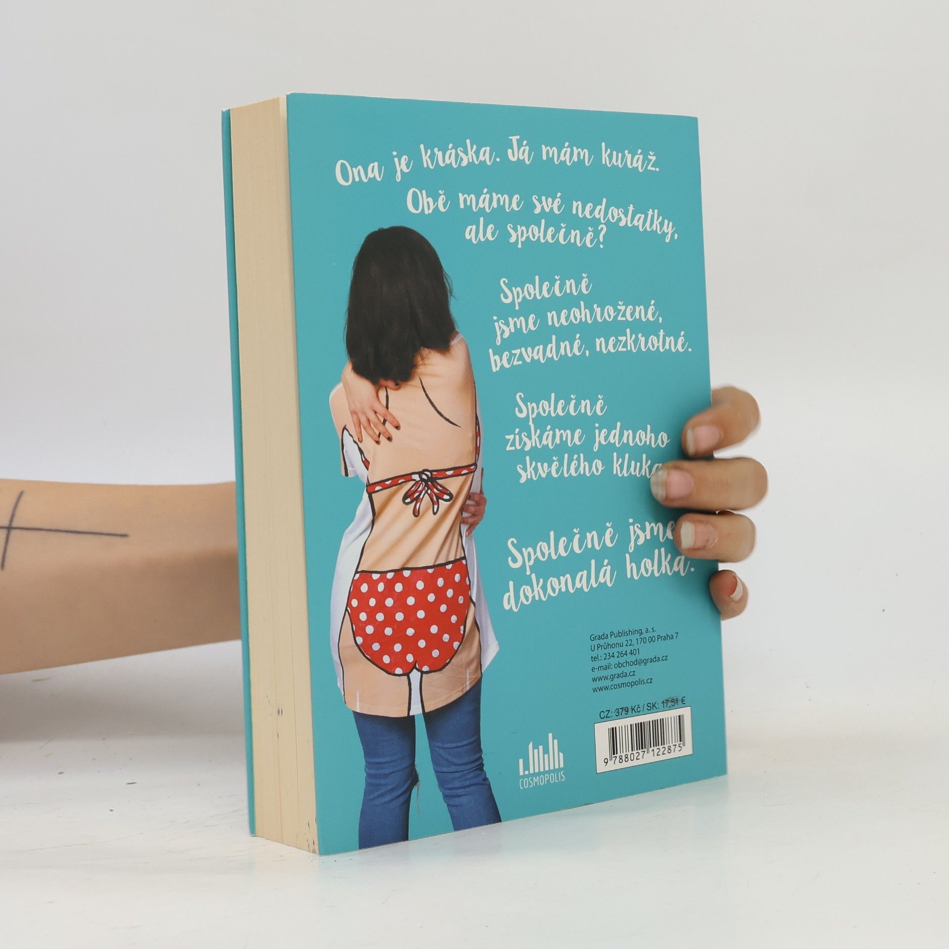 Ariel Kaplan Spolu jsme dokonalá holka