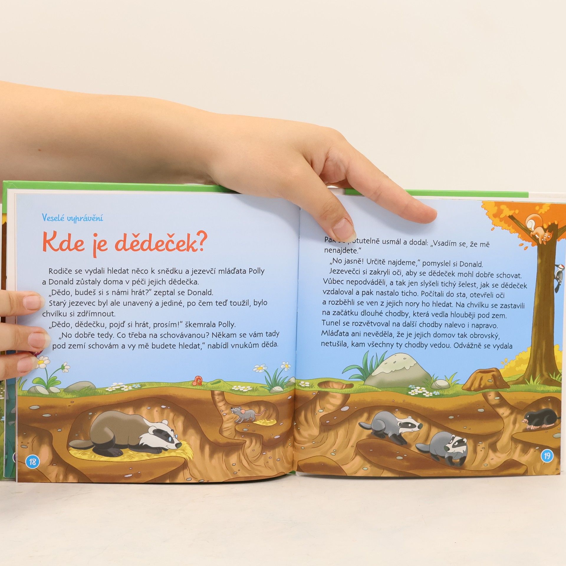 Kolektiv autorů Bydlím v lese 27. Jezevec