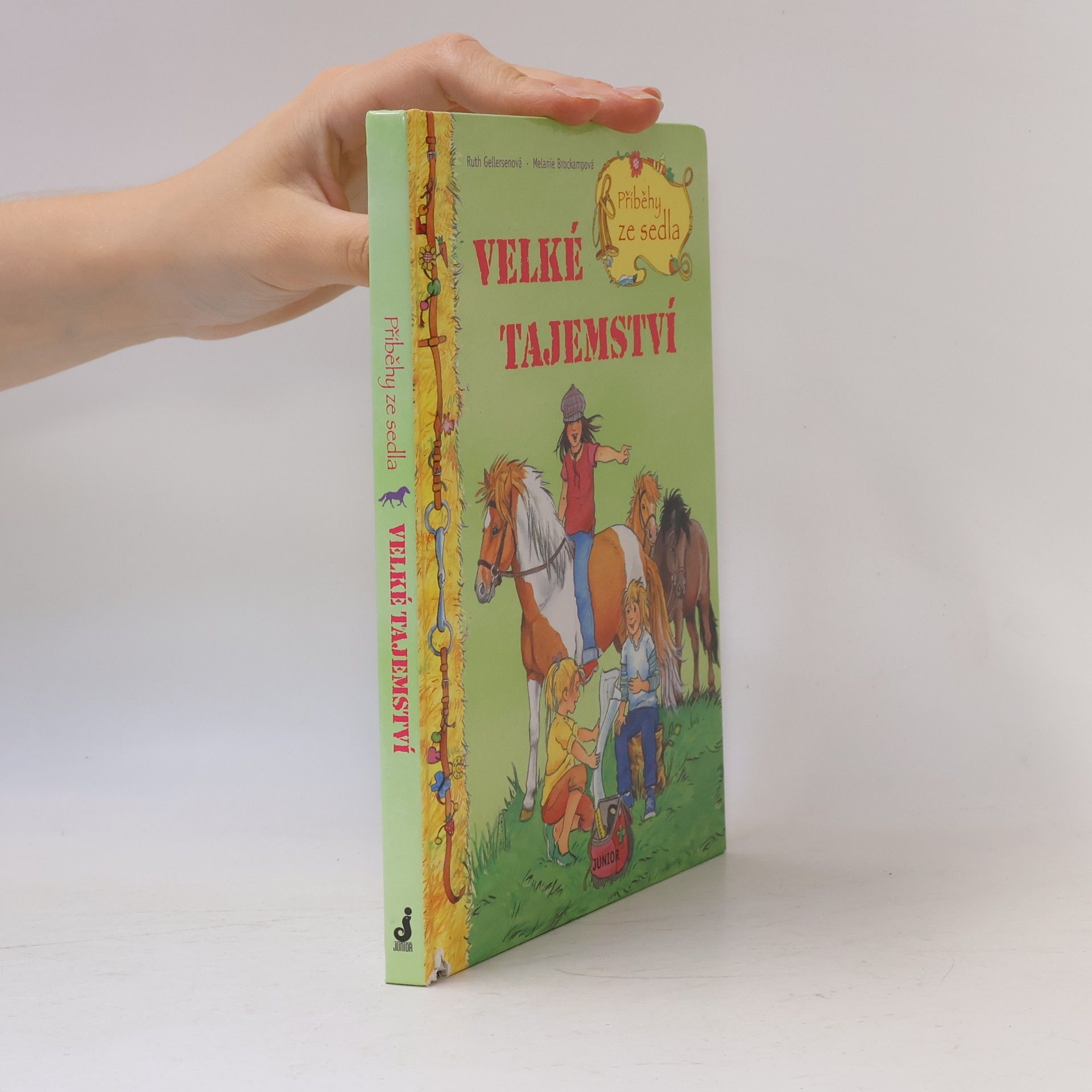 Ruth Gellersen Příběhy ze sedla. Velké tajemství