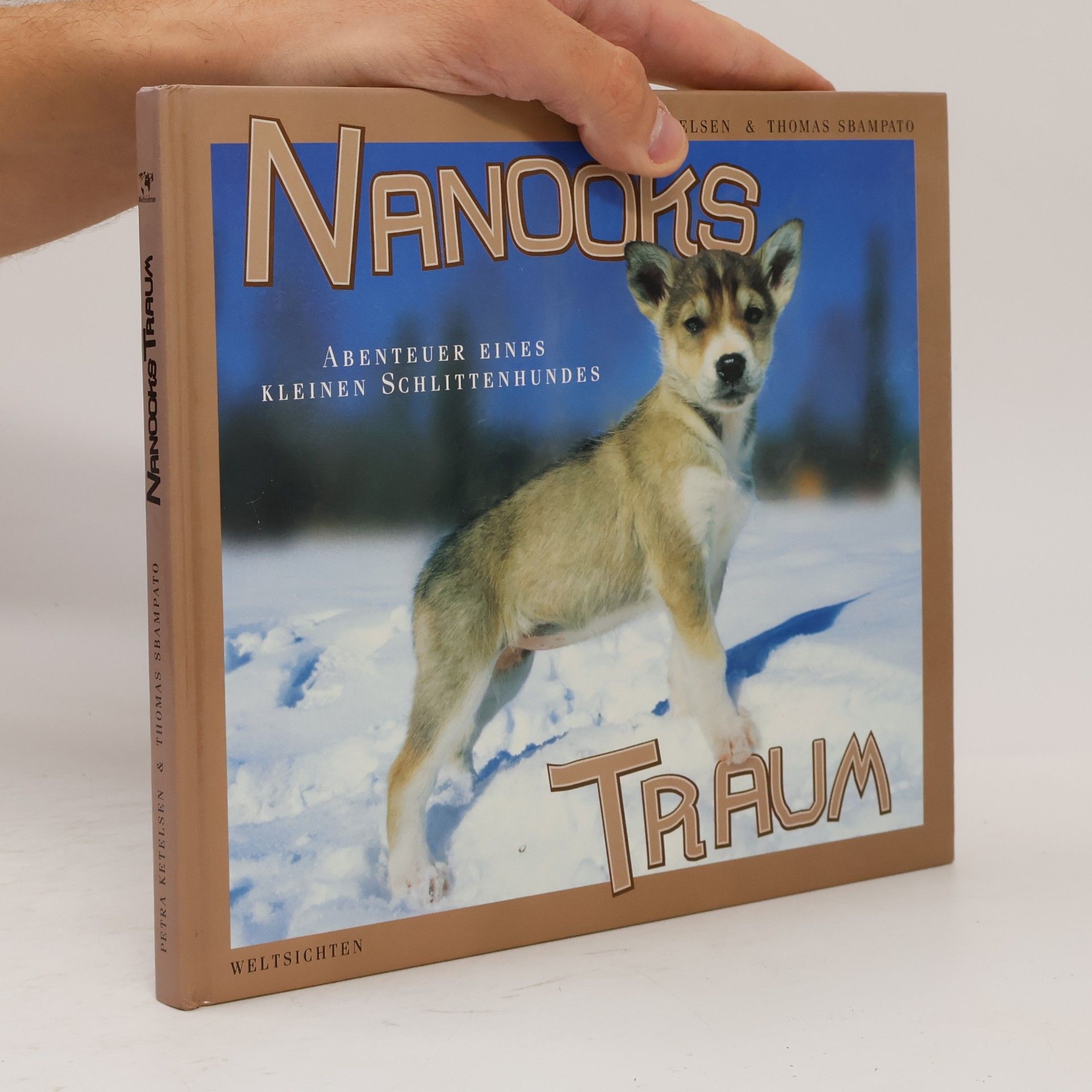 Autorenkollektiv Nanooks Traum