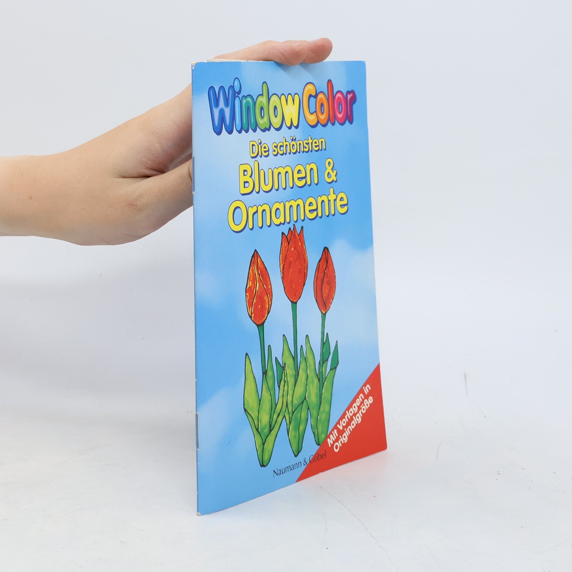 Various authors Window Color - die schönsten Blumen & Ornamente