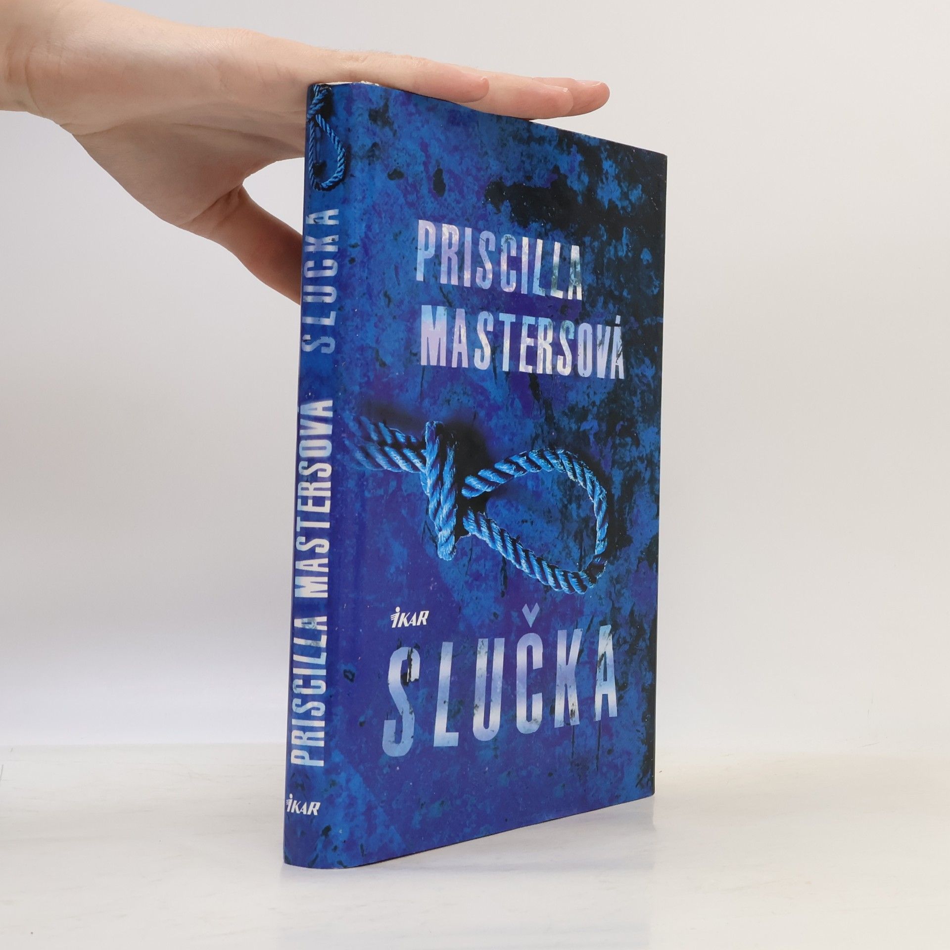 Priscilla Masters Slučka