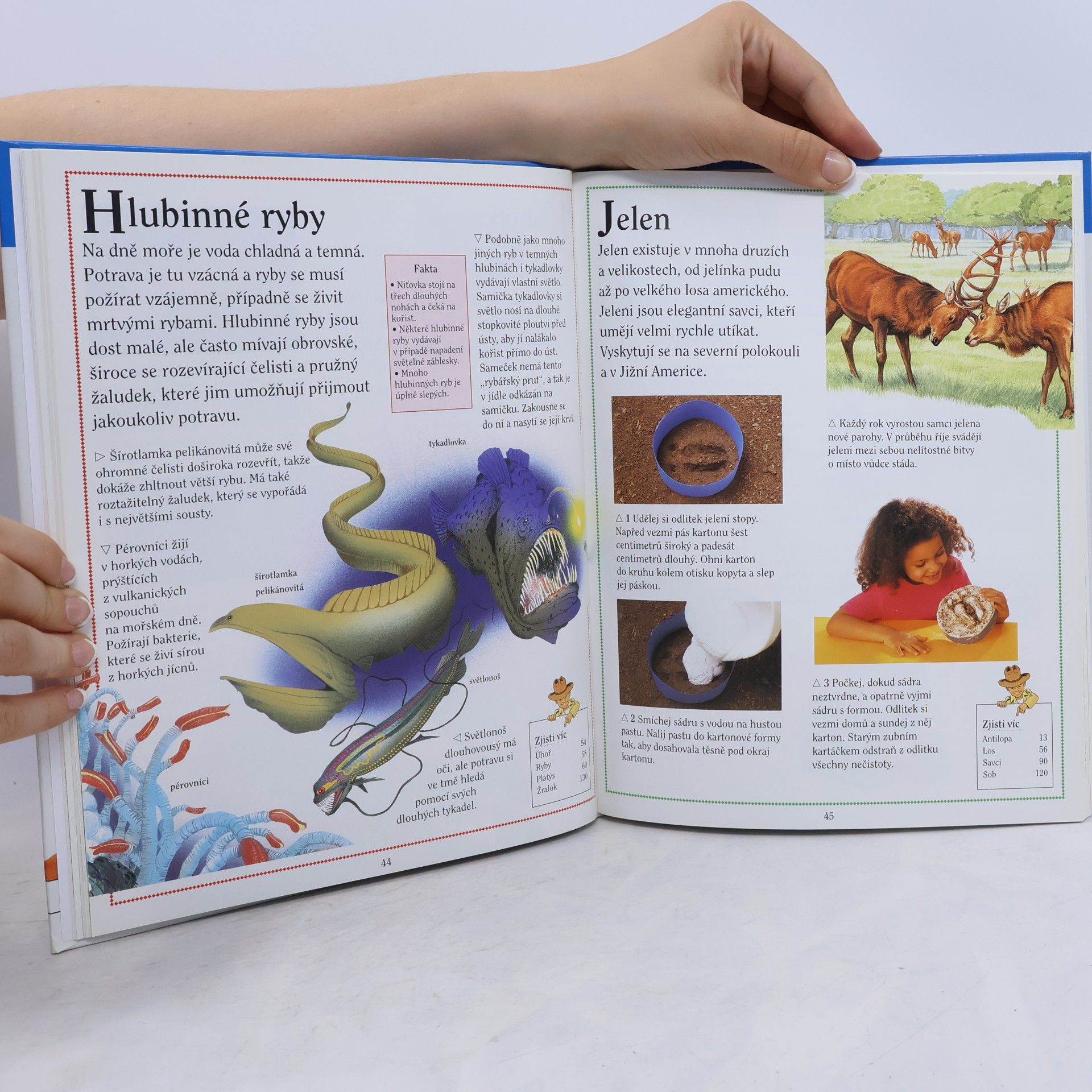 Autores varios První encyklopedie. Zvířata