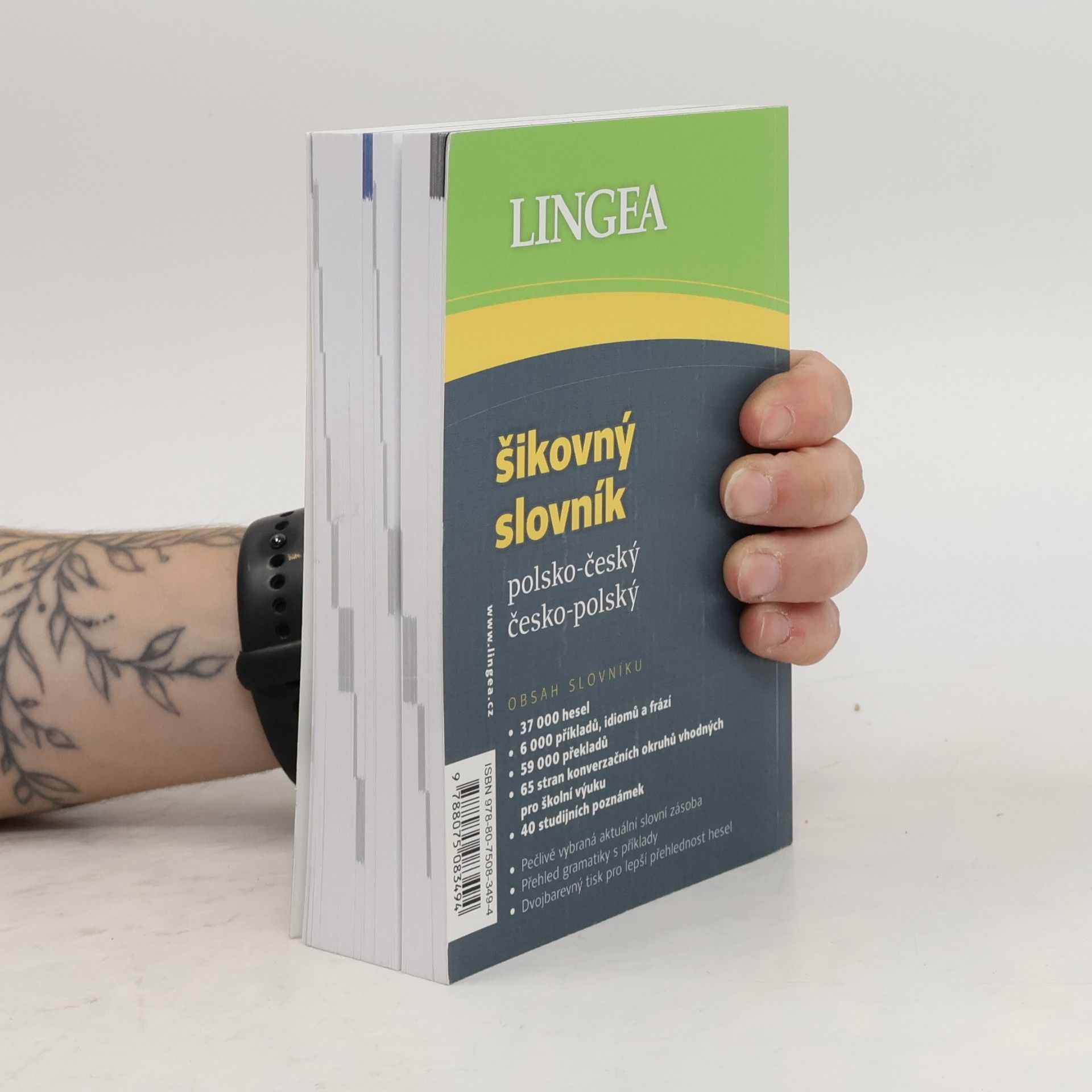 Autorenkollektiv Šikovný slovník polsko-český, česko-polský