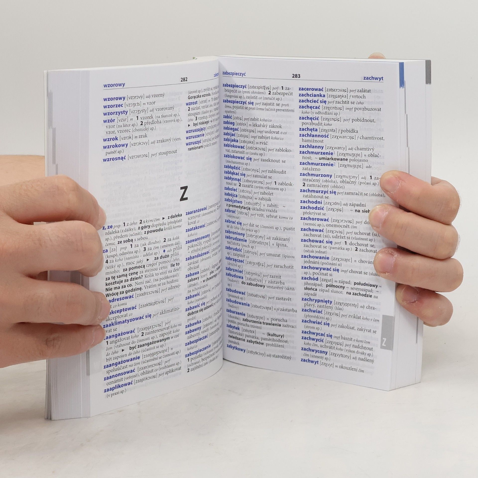 Autorenkollektiv Šikovný slovník polsko-český, česko-polský
