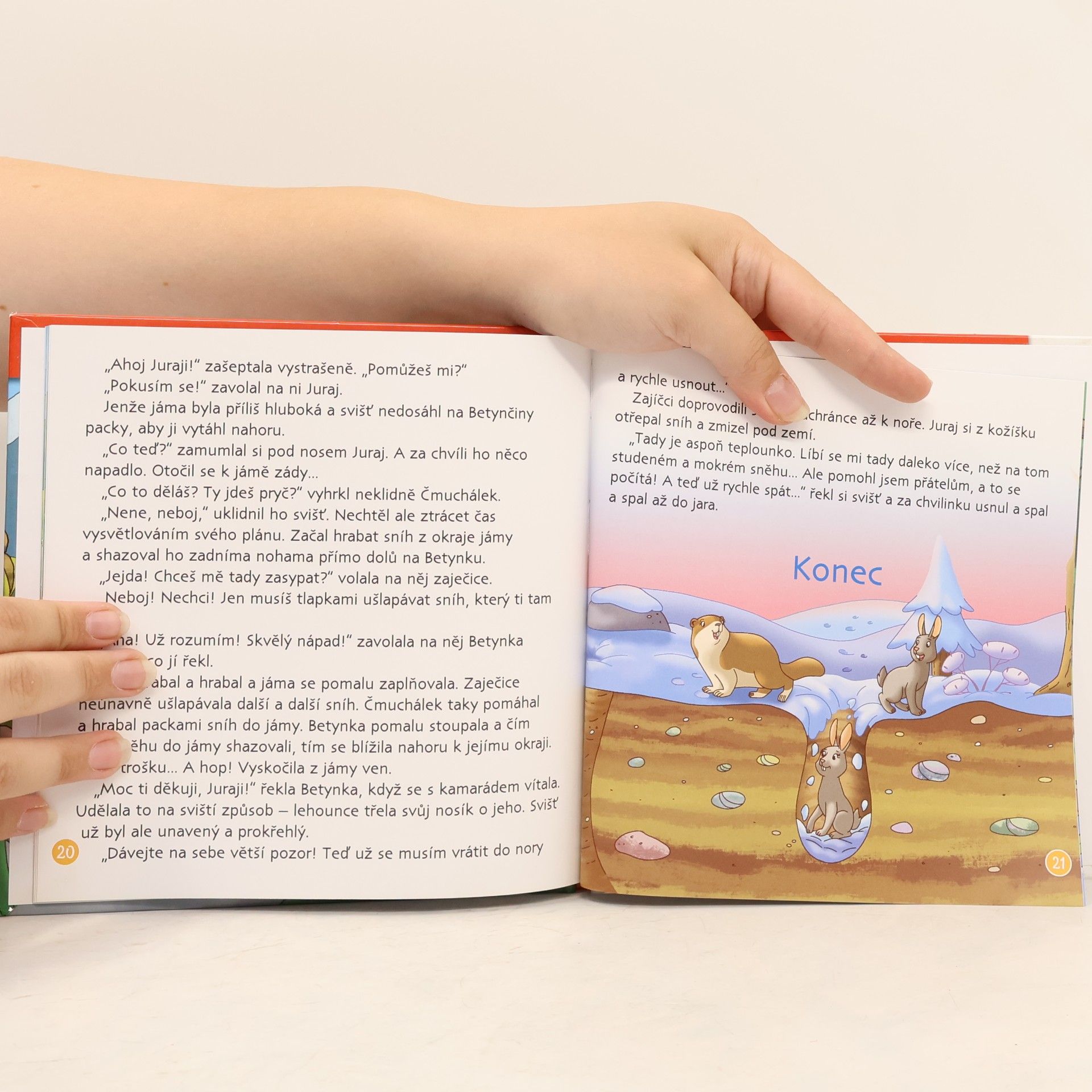 Autorenkollektiv Na okraji lesa 21. Svišť