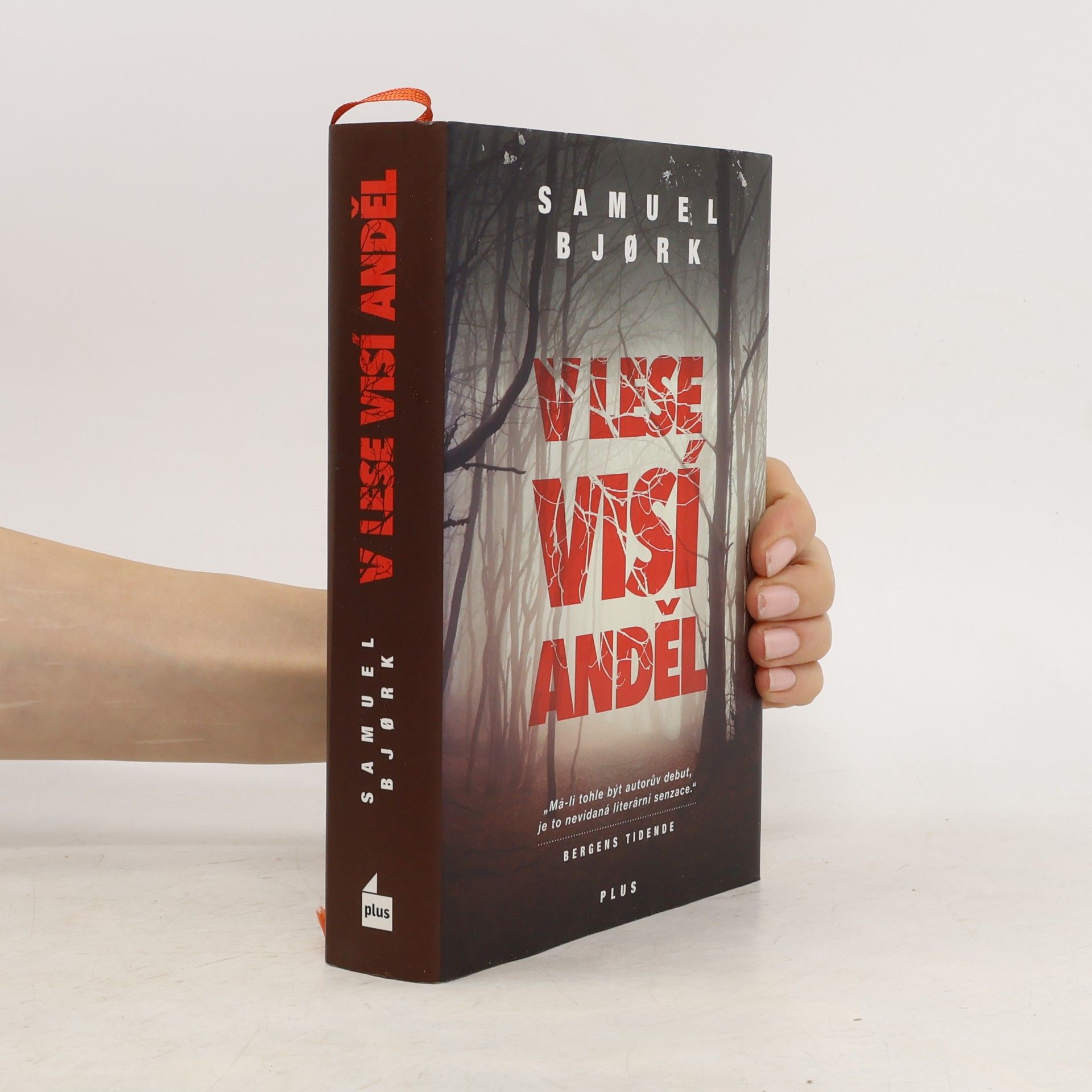 Samuel Bjork V lese visí anděl