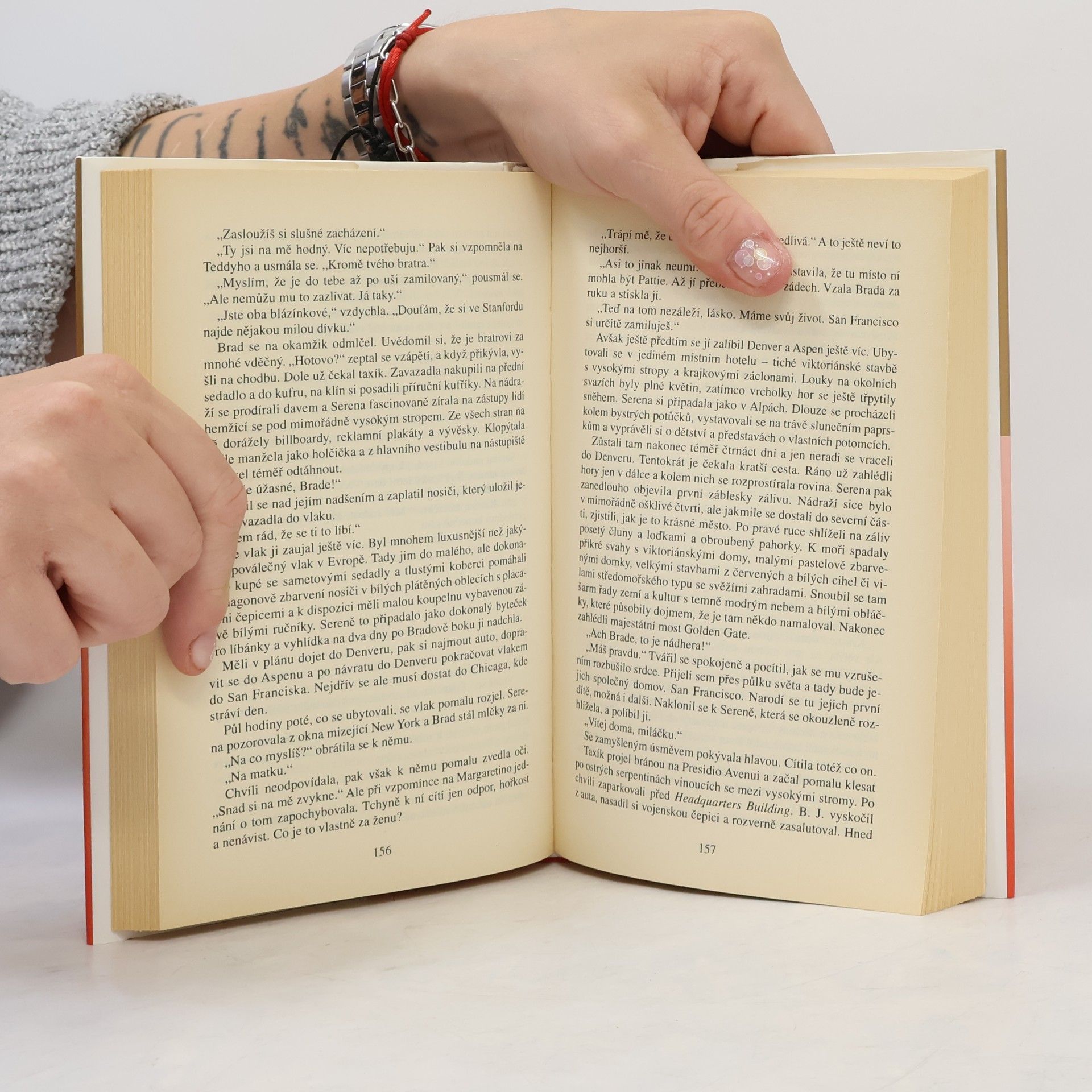 Danielle Steel Střípky vzpomínek