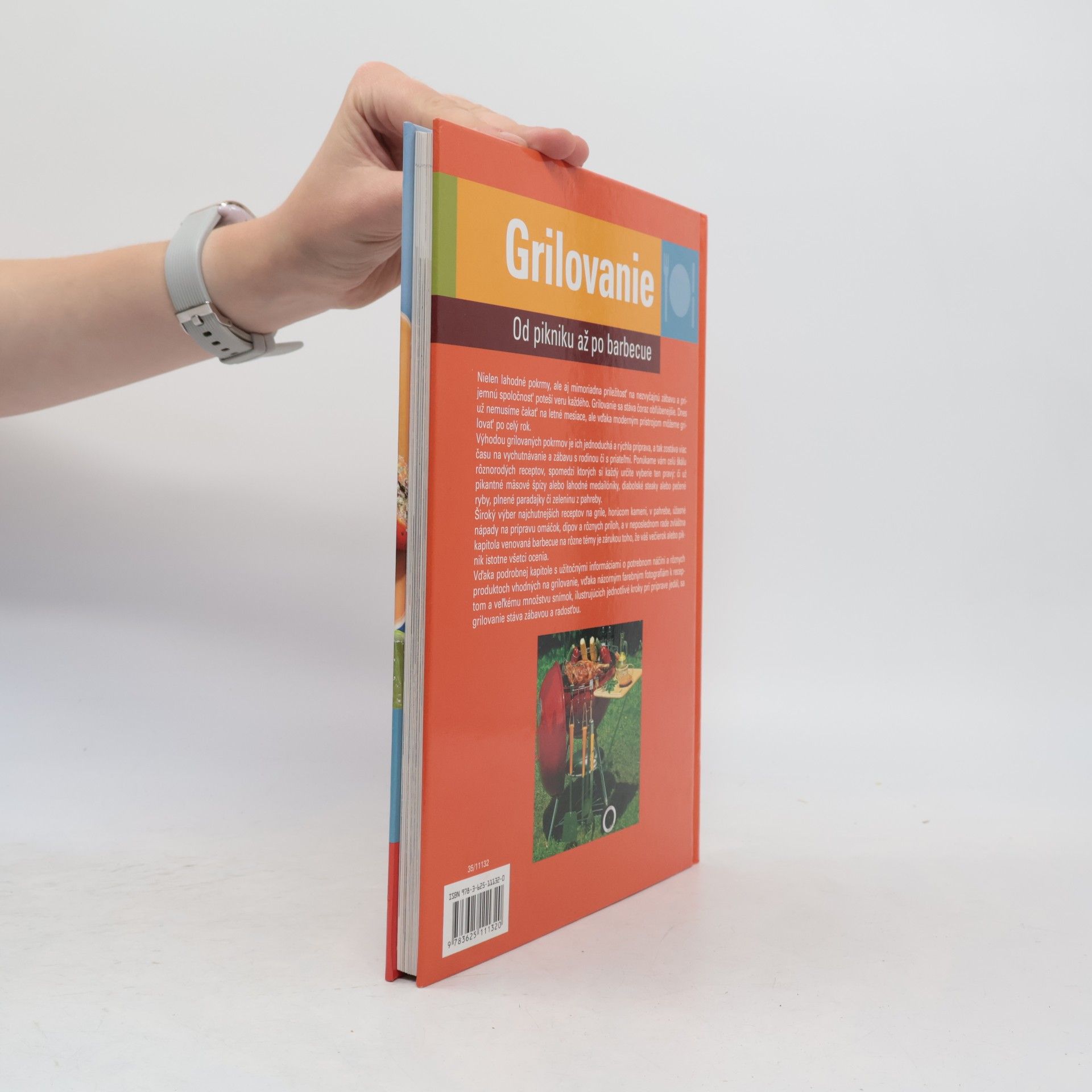 Collectif d'auteurs Grilování. Od pikniku až po barbecue