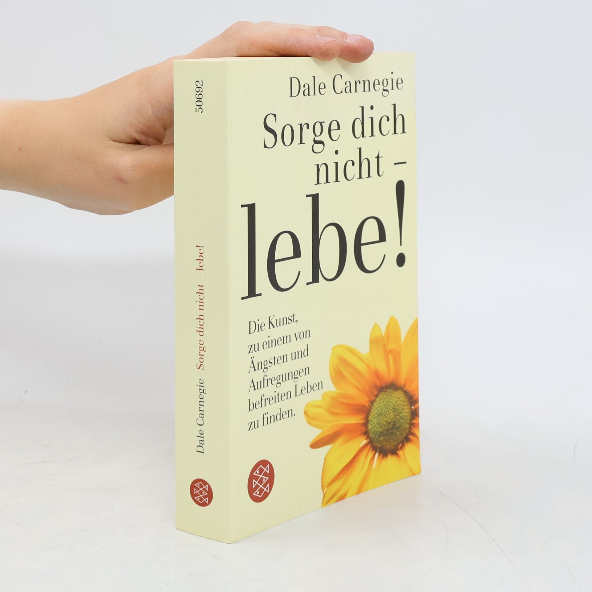 Dale Carnegie Sorge dich nicht - lebe!
