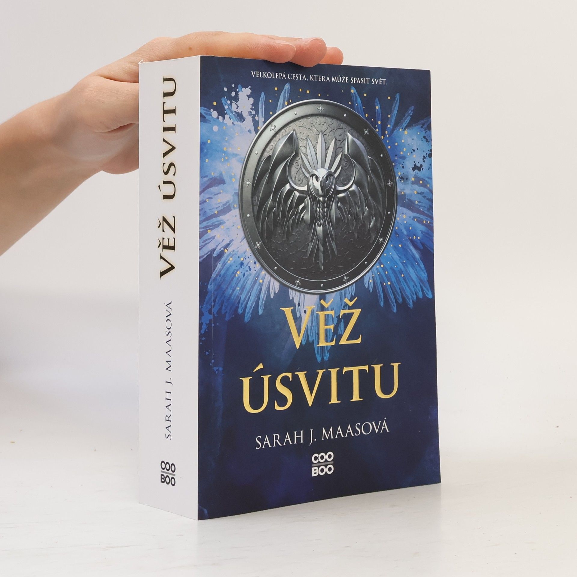 Sarah J. Maasová Věž úsvitu